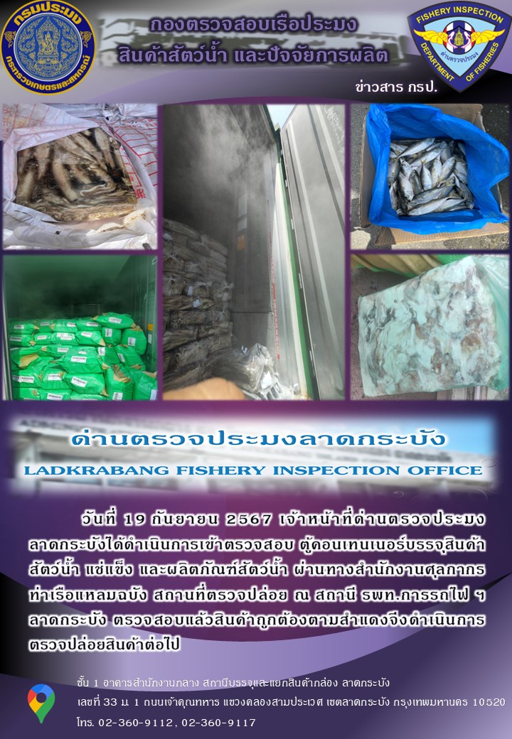 ตรวจสอบสินค้าสัตว์น้ำนำเข้าประจำวันที่ 19 กันยายน 2567
