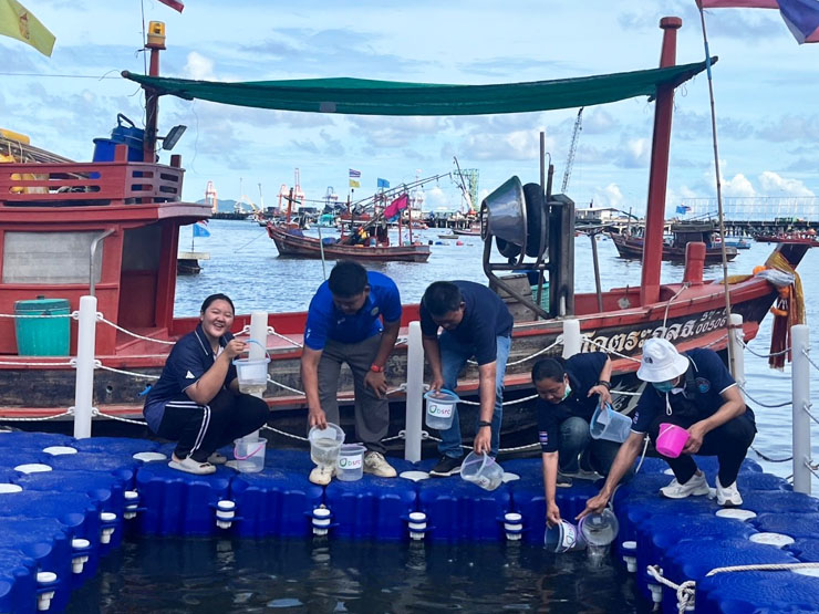 ศพช.ฉะเชิงเทรา สนับสนุนพันธุ์กุ้งแชบ๊วยและเข้าร่วมกิจกรรมปล่อยพันธุ์สัตว์น้ำ ณ บริเวณชายหาด ชุมชนประมงต้นแบบบ้านอ่าวอุดม ตำบลทุ่งสุขลา อำเภอศรีราชา จังหวัดชลบุรี 