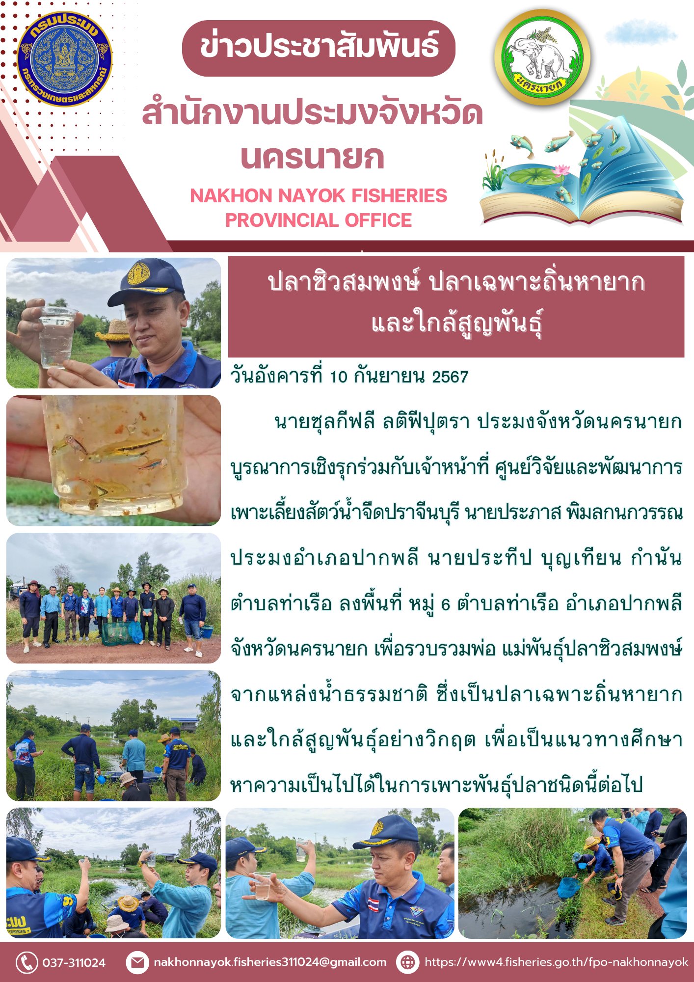 ปลาซิวสมพงษ์ ปลาเฉพาะถิ่นหายากและใกล้สูญพันธุ์