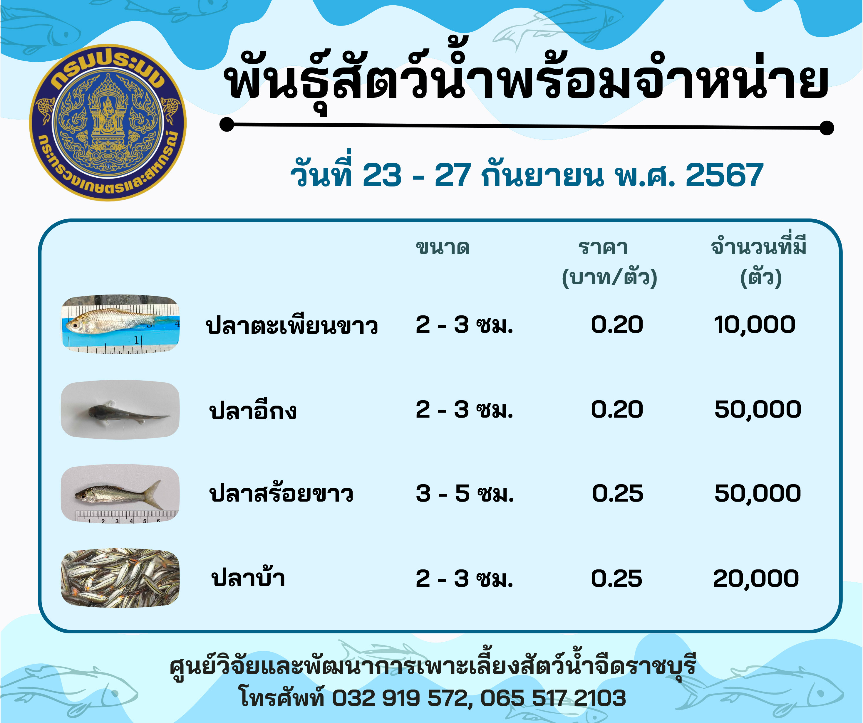 ลูกพันธุ์สัตว์น้ำพร้อมจำหน่ายสัปดาห์นี้ วันที่ 23 - 27 กันยายน พ.ศ. 2567..คลิก