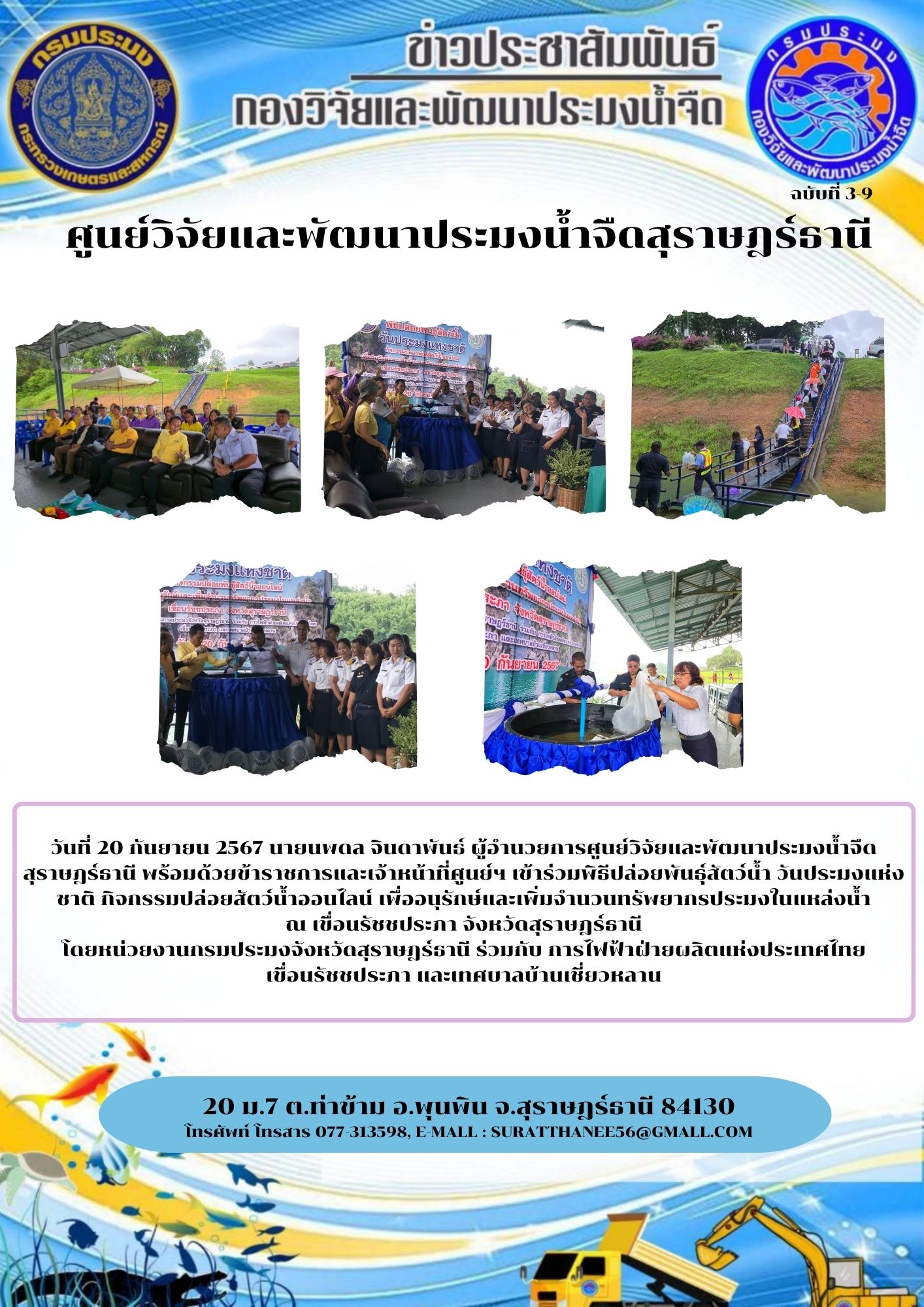 วันที่ 20 กันยายน 2567 นายนพดล จินดาพันธ์ ผู้อำนวยการศูนย์วิจัยและพัฒนาประมงน้ำจืดสุราษฎร์ธานี พร้อมด้วยข้าราชการและเจ้าหน้าที่ศูนย์ฯ เข้าร่วมพิธีปล่อยพันธุ์สัตว์น้ำ วันประมงแห่งชาติ กิจกรรมปล่อยสัตว์น้ำออนไลน์ เพื่ออนุรักษ์และเพิ่มจำนวนทรัพยากรประมงในแหล่งน้ำ ณ เขื่อนรัชชประภา จังหวัดสุราษฎร์ธานี โดยหน่วยงานกรมประมงจังหวัดสุราษฎร์ธานี ร่วมกับ การไฟฟ้าฝ่ายผลิตแห่งประเทศไทย           เขื่อนรัชชประภา และเทศบาลบ้านเชี่ยวหลาน