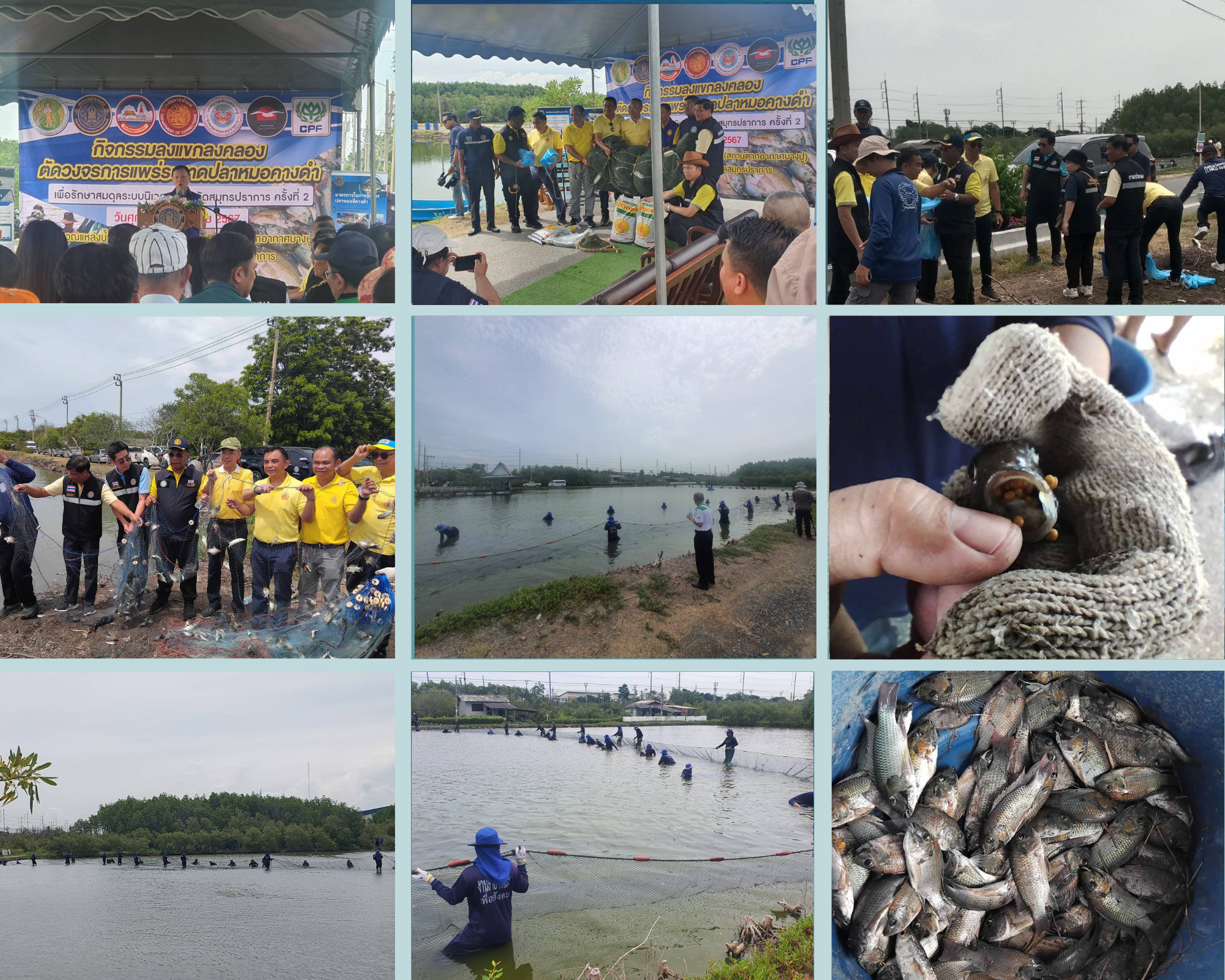 เมื่อวันที่ 23 สิงหาคม 2567 นายกำพล ลอยชื่น ผู้อำนวยการกองวิจัยและพัฒนาประมงทะเล และนายกฤษฎา ธงศิลา หัวหน้ากลุ่มวิจัยและพัฒนาเทคโนโลยีประมง พร้อมทั้งศูนย์วิจัยและพัฒนาประมงทะเลสมุทรปราการ และศูนย์วิจัยและพัฒนาประมงทะเลระยอง ได้เข้าร่วมกิจกรรมลงแขกลงคลอง