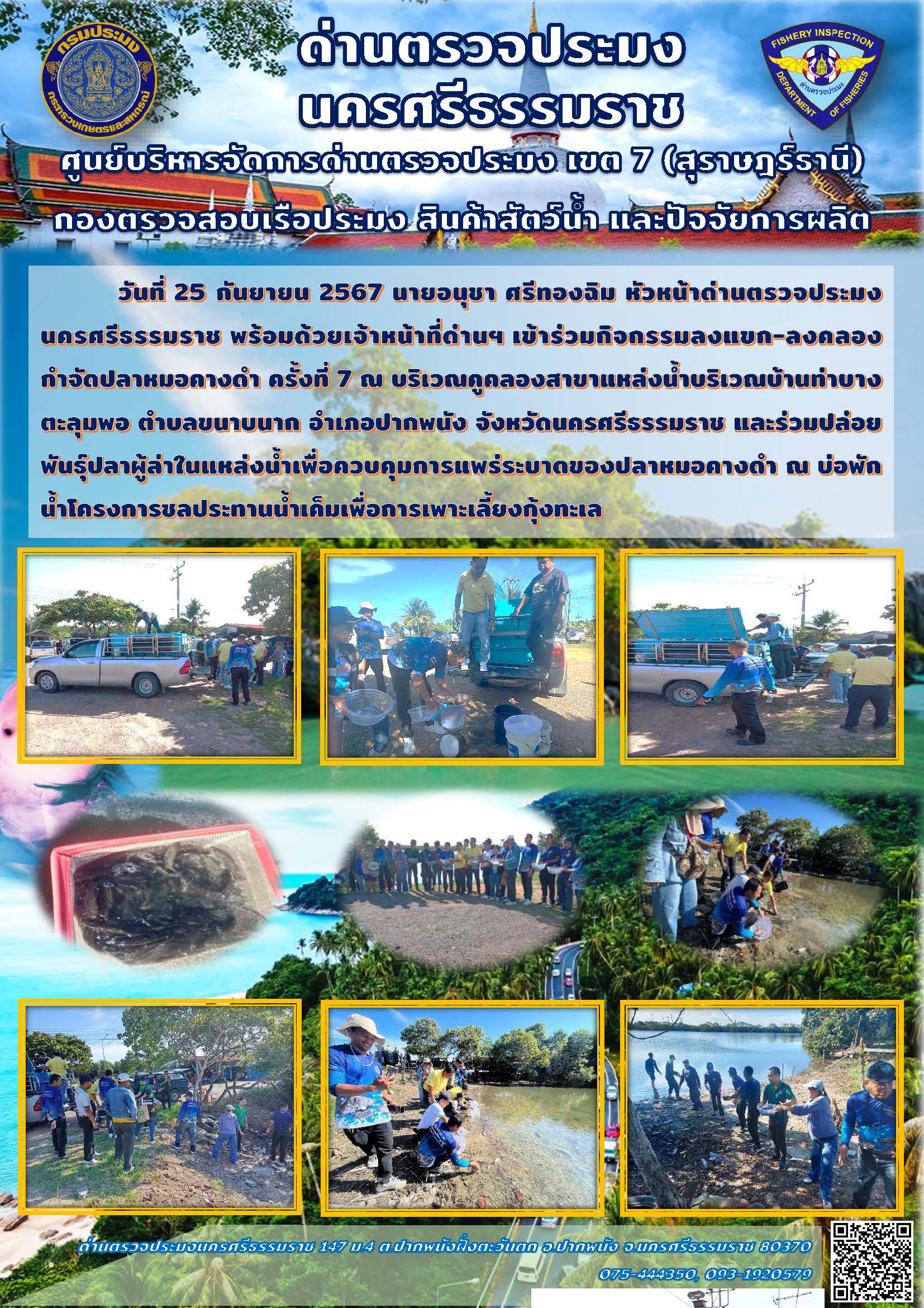 วันที่ 25 กันยายน 2567 นายอนุชา ศรีทองฉิม หัวหน้าด่านตรวจประมงนครศรีธรรมราช พร้อมด้วยเจ้าหน้าที่ด่านฯ เข้าร่วมกิจกรรมลงแขก-ลงคลอง กำจัดปลาหมอคางดำ ครั้งที่ 7 และร่วมปล่อยพันธุ์ปลาผู้ล่าในแหล่งน้ำเพื่อควบคุมการแพร่ระบาดของปลาหมอคางดำ..คลิก