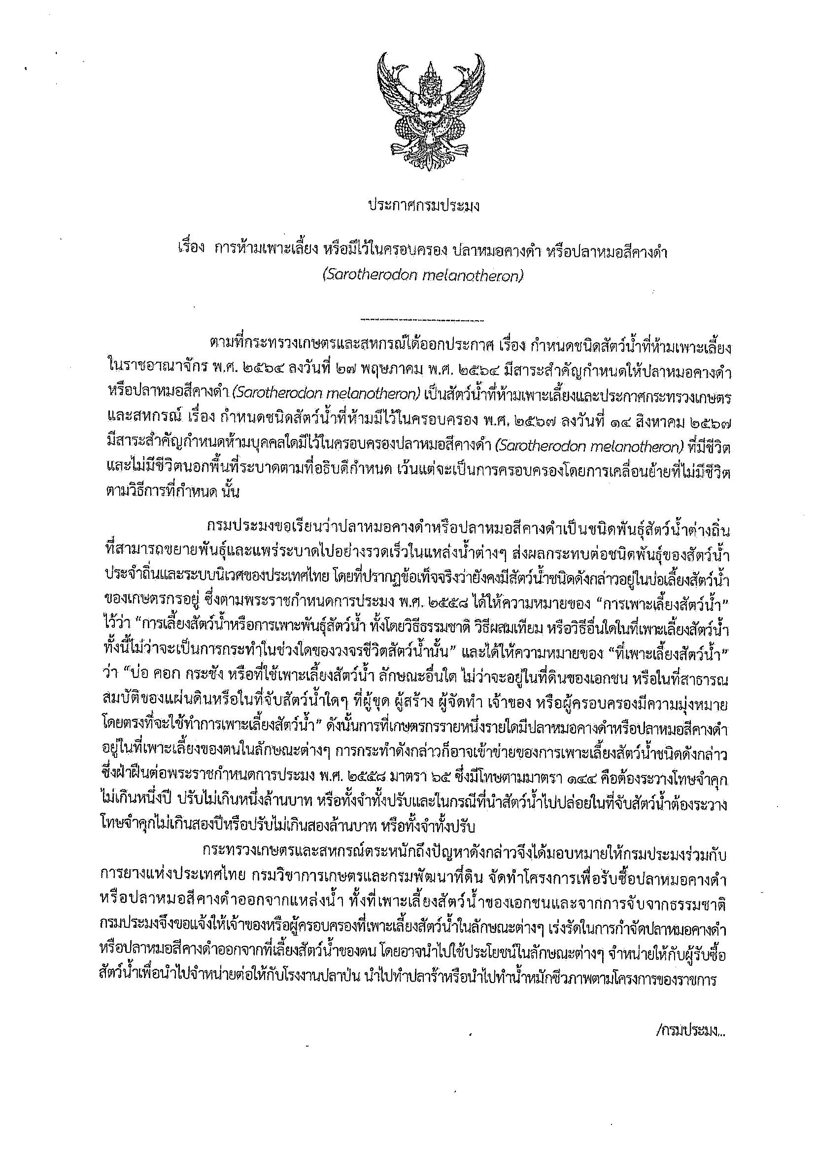 ประชาสัมพันธ์ ประกาศกรมประมง เรื่องห้ามการเพาะเลี้ยง หรือมีไว้ในครอบครอง ปลาหมอคางดำ ปลาหมอสีคางดำ  (Sarotherodon melanotheron)