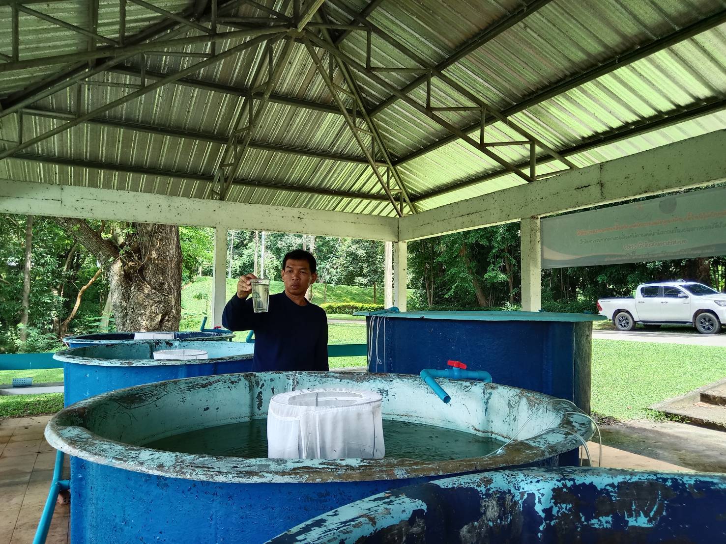 การเพาะพันธุ์ปลาตะเพียนขาวด้วยชุดเพาะพันธุ์ปลาเคลื่อนที่ (Mobile hatchery) เพื่อปล่อยในโครงการส่งเสริมการดำเนินงานอันเนื่องมาจากพระราชดำริ ณ ริมแม่น้ำพอง โรงไฟฟ้าพลังน้ำภาคตะวันออกเฉียงเหนือเขื่อนอุบลรัตน์