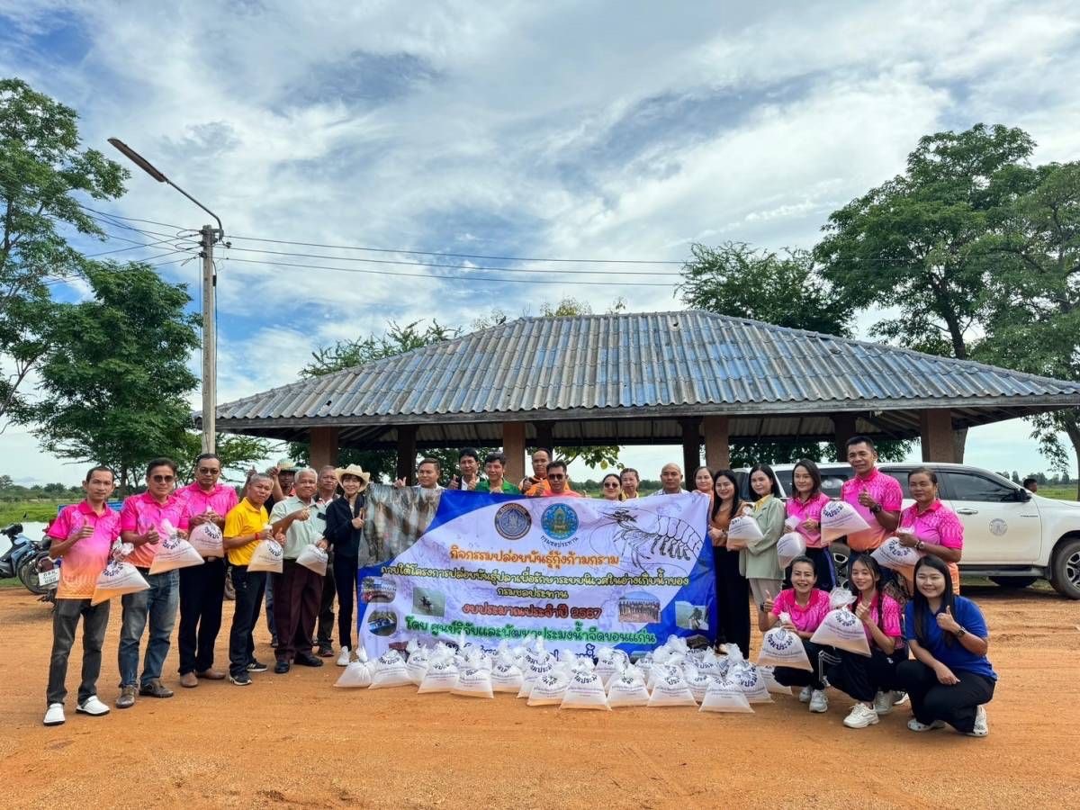 กิจกรรมปล่อยพันธุ์กุ้งก้ามกราม ภายใต้โครงการปล่อยพันธุ์ปลาเพื่อรักษาระบบนิเวศในอ่างเก็บน้ำของกรมชลประทาน ประจำปีงบประมาณ 2567 ณ หนองกุดเค้า อำเภอมัญจาคีรี จังหวัดขอนแก่น