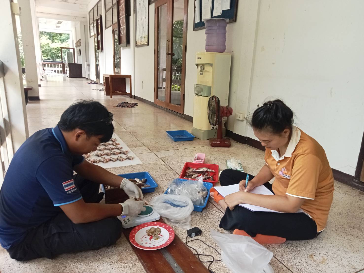 ศึกษาค่าดัชนีความสมบูรณ์เพศในปลา (Gonadosomatic Index, GSI) ชนิด ได้แก่  ปลาตะเพียนขาว ปลาสร้อยขาว   ปลากระมังและ ปลากดเหลือง และปลาซ่า ภายในพื้นที่อ่างเก็บน้ำเขื่อนอุบลรัตน์