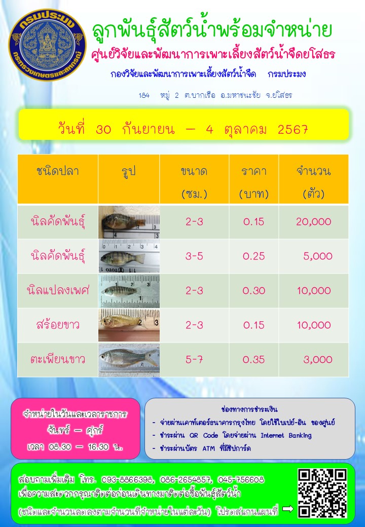 ลูกพันธุ์สัตว์น้ำพร้อมจำหน่าย 30 ก.ย. - 4 ต.ค. 2567..คลิก