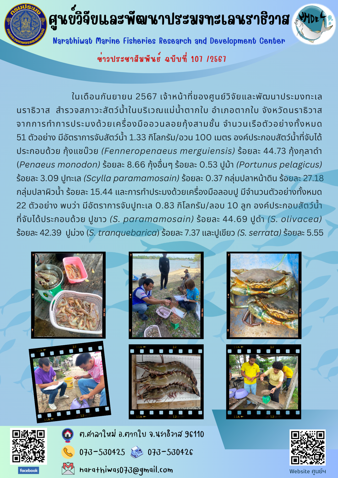 ในเดือนกันยายน 2567 เจ้าหน้าที่ของศูนย์วิจัยและพัฒนาประมงทะเล นราธิวาส  สำรวจสภาวะสัตว์น้ำในบริเวณแม่น้ำตากใบ อำเภอตากใบ จังหวัดนราธิวาส..คลิก
