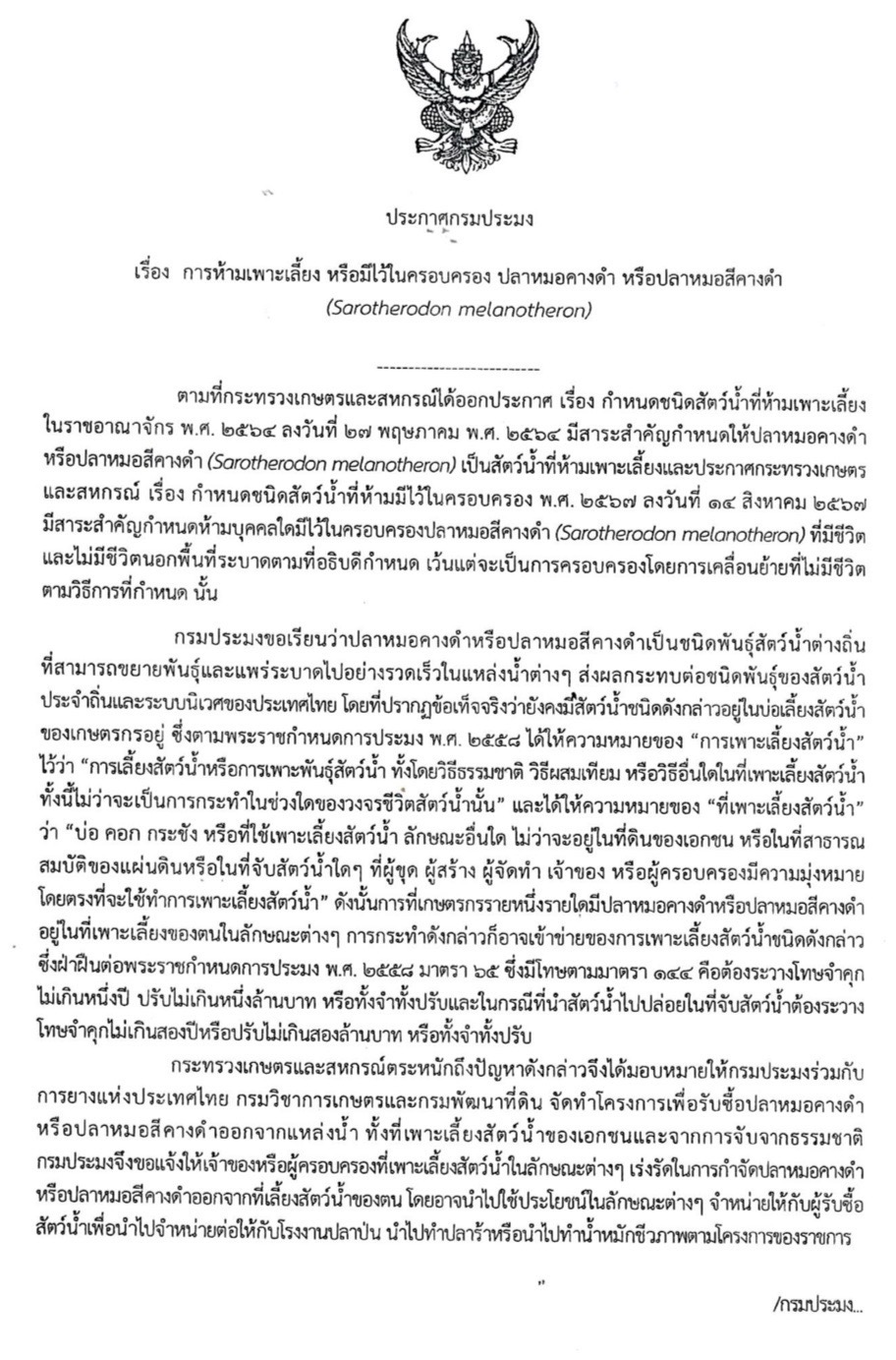 ประกาศกรมประมง  เรื่อง ห้ามเพาะเลี้ยง หรือมีไว้ครอบครองปลาหมอคางดำ หรือปลาหมอสีคางดำ !!!..คลิก