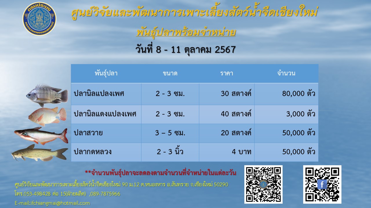 พันธุ์ปลาพร้อมจำหน่าย วันที่ 8-11 ตุลาคม 2567