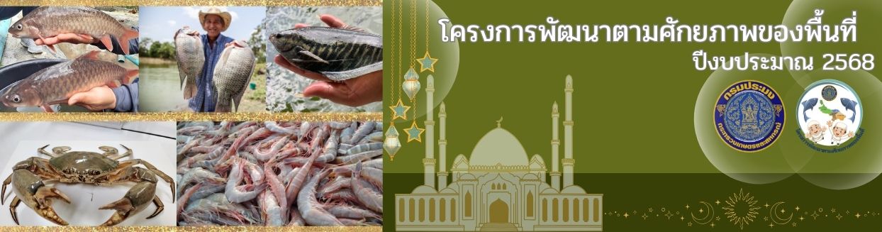โครงการ จชต