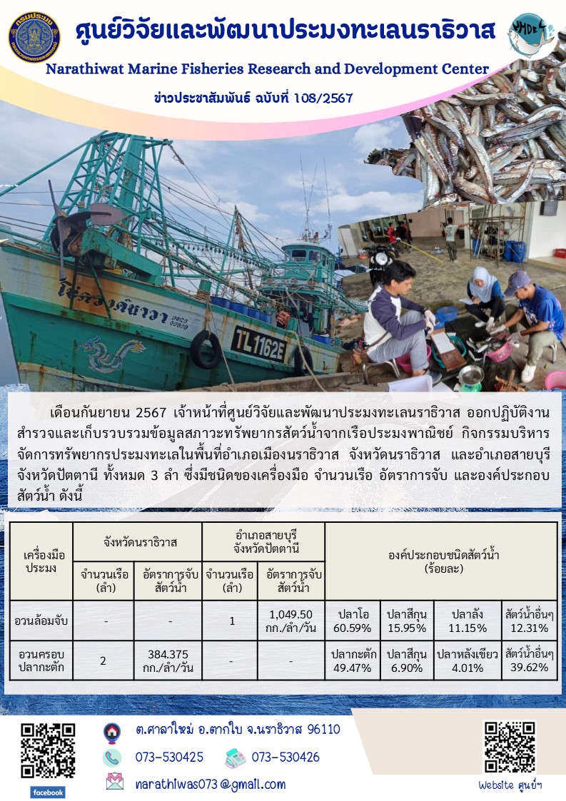 เดือนกันยายน 2567 เจ้าหน้าที่ศูนย์วิจัยและพัฒนาประมงทะเลนราธิวาส ออกปฏิบัติงานสำรวจและเก็บรวบรวมข้อมูลสภาวะทรัพยากรสัตว์น้ำจากเรือประมงพาณิชย์..คลิก