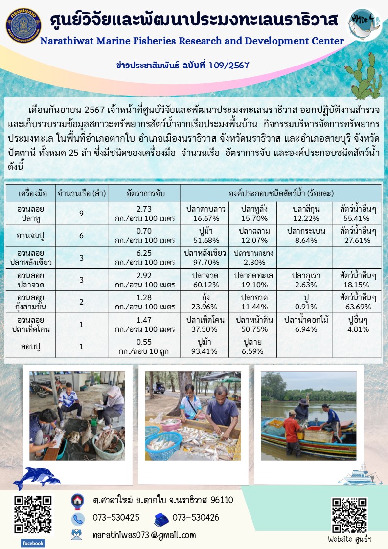 เดือนกันยายน 2567 เจ้าหน้าที่ศูนย์วิจัยและพัฒนาประมงทะเลนราธิวาส ออกปฏิบัติงานสำรวจและเก็บรวบรวมข้อมูลสภาวะทรัพยากรสัตว์น้ำจากเรือประมงพื้นบ้าน..คลิก