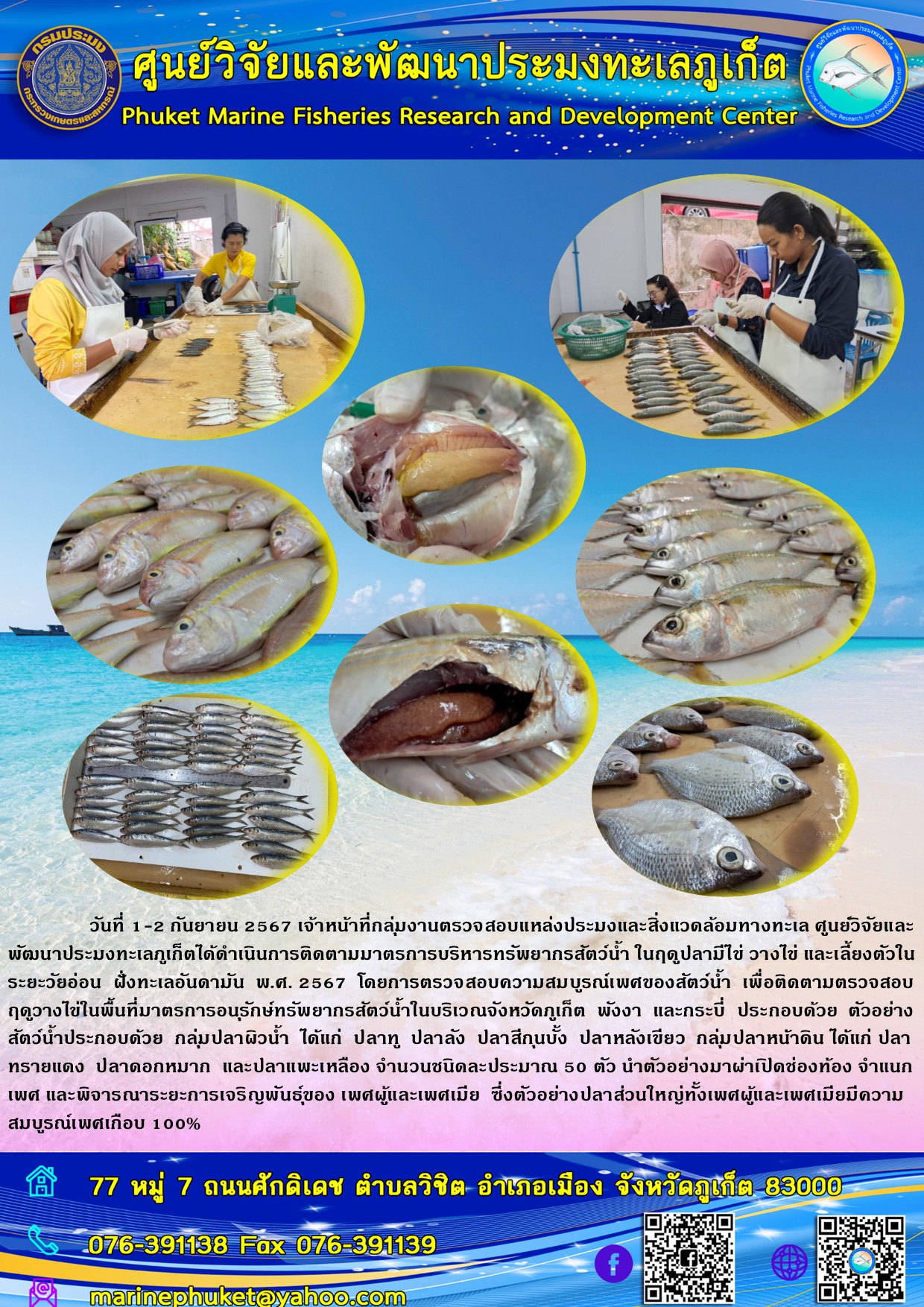 วันที่ 1-2 กันยายน 2567 เจ้าหน้าที่กลุ่มงานตรวจสอบแหล่งประมงและสิ่งแวดล้อมทางทะเล ศูนย์วิจัยและพัฒนาประมงทะเลภูเก็ตได้ดำเนินการติดตามมาตรการบริหารทรัพยากรสัตว์น้ำ ในฤดูปลามีไข่ วางไข่ และเลี้ยงตัวในระยะวัยอ่อน ฝั่งทะเลอันดามัน พ.ศ. 2567