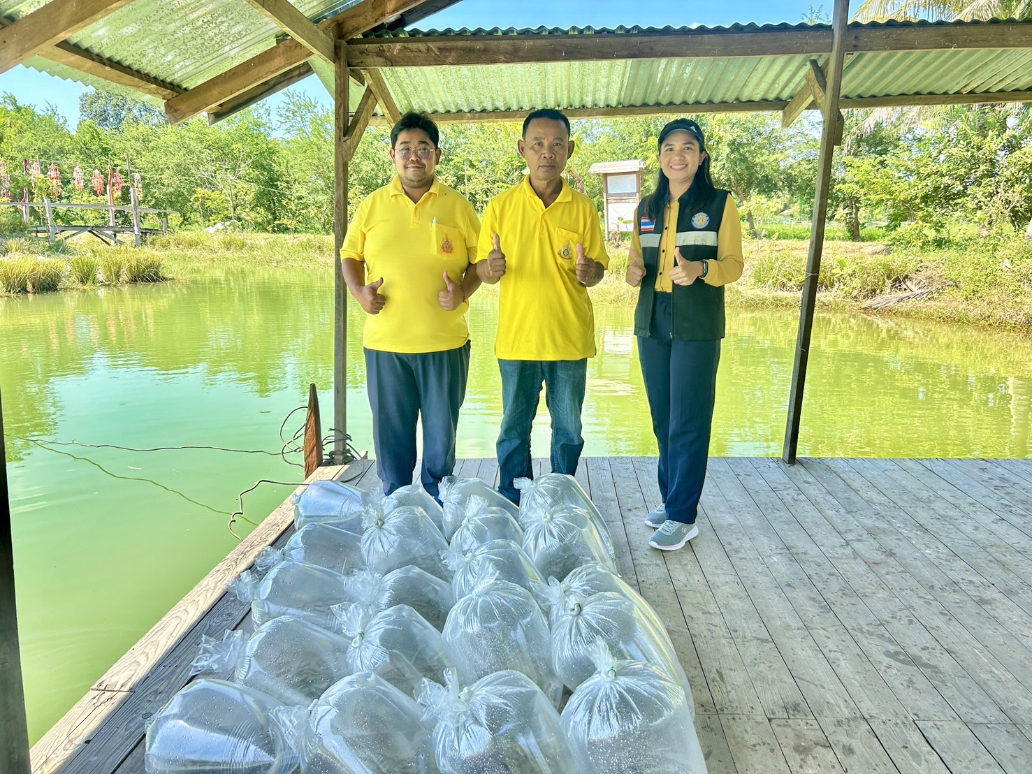 ร่วมกิจกรรม Live Action แปลงโคก หนอง นา อารยเกษตร งานการจัดแสดงนิทรรศการนานาชาติ Sustainability Expo 2024..คลิก