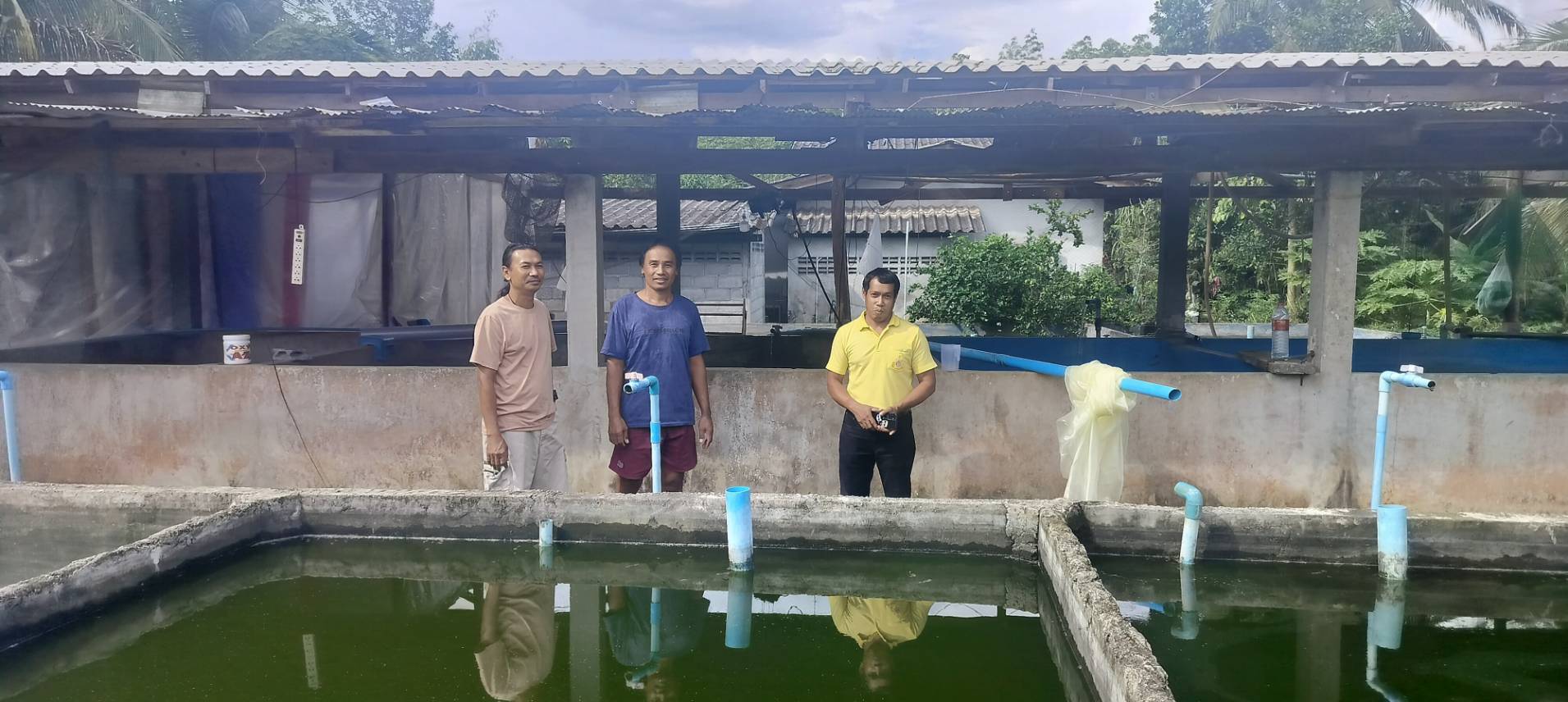ประมงอำเภอป่าบอน พร้อมด้วย นายจตุรวิทย์ คงจีน เกษตรกรผู้เพาะเลี้ยงปลาชะโอน อำเภอป่าบอน เยี่ยมชม แลกเปลี่ยนความรู้และประสบการณ์  การเพาะเลี้ยงสัตว์น้ำ ของนายสุริยา เทพหนู เกษตรกรผู้เพาะเลี้ยงปลาชะโอนพื้นที่ตำบลแหลมโตนด อำเภอควนขนุน จังหวัดพัทลุง และฟาร์มเพาะเลี้ยง ปลาชะโอนซึ่งนำนวัตกรรมใหม่ๆ มาใช้ในการบริหารจัดการฟาร์ม..คลิก