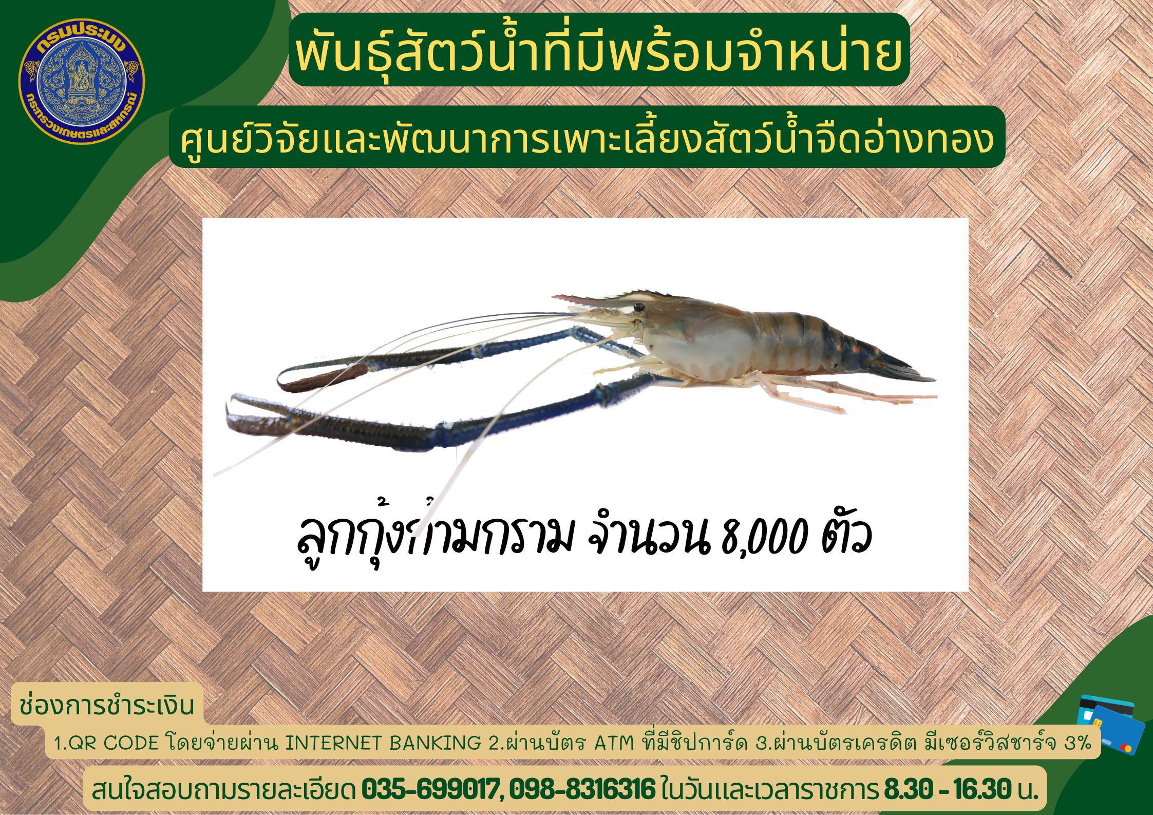 พันธุ์สัตว์น้ำที่มีพร้อมจำหน่าย..คลิก