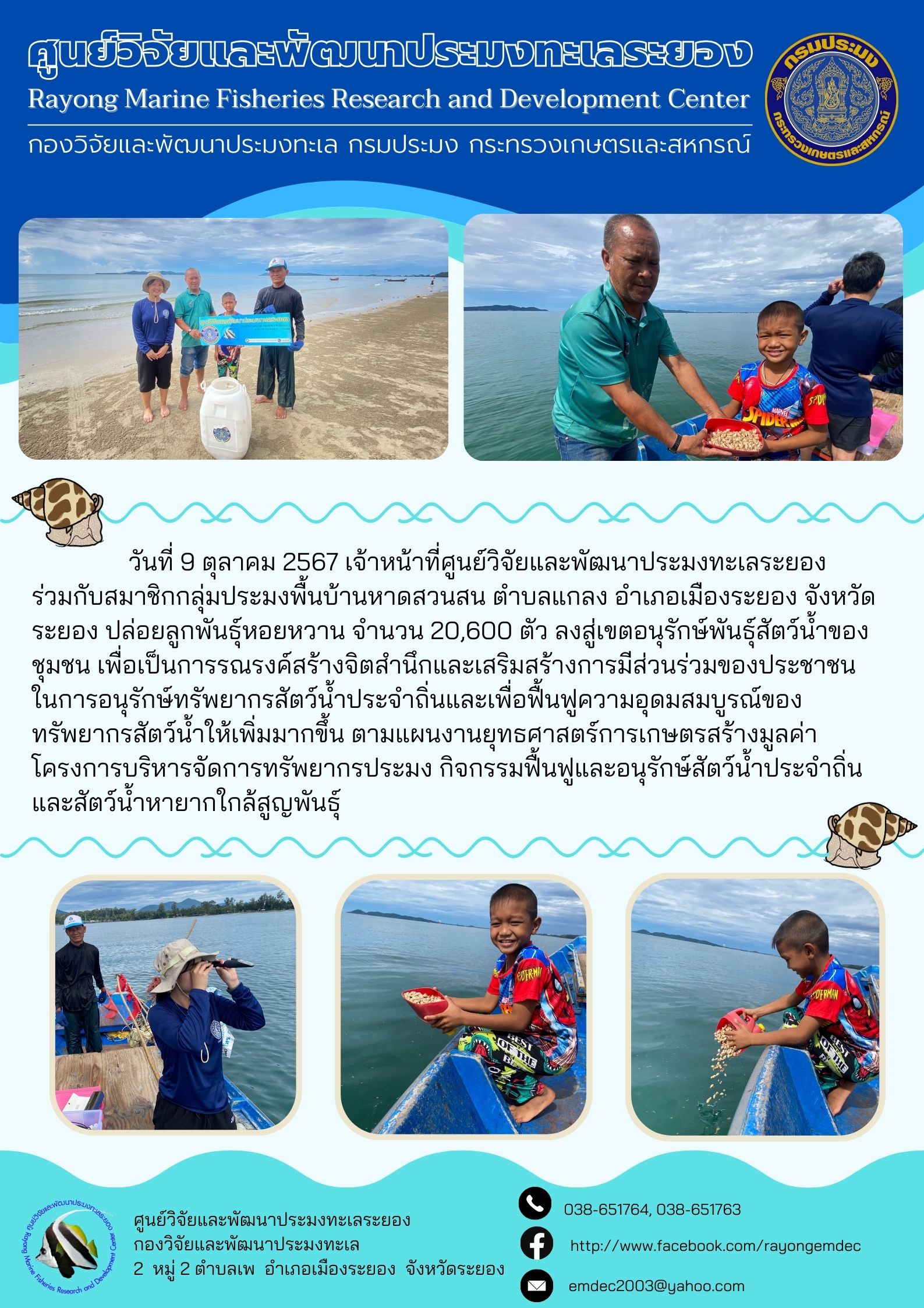 วันที่ 9 ตุลาคม 2567 เจ้าหน้าที่ศูนย์วิจัยและพัฒนาประมงทะเลระยอง ร่วมกับสมาชิกกลุ่มประมงพื้นบ้านหาดสวนสน ตำบลแกลง อำเภอเมืองระยอง จังหวัดระยอง ปล่อยลูกพันธุ์หอยหวาน จำนวน 20,600 ตัว ลงสู่เขตอนุรักษ์พันธุ์สัตว์น้ำของ ชุมชน เพื่อเป็นการรณรงค์สร้างจิตสำนึกและเสริมสร้างการมีส่วนร่วมของประชาชนในการอนุรักษ์ทรัพยากรสัตว์น้ำประจำถิ่นและเพื่อฟื้นฟูความอุดมสมบูรณ์ ฯลฯ..คลิก