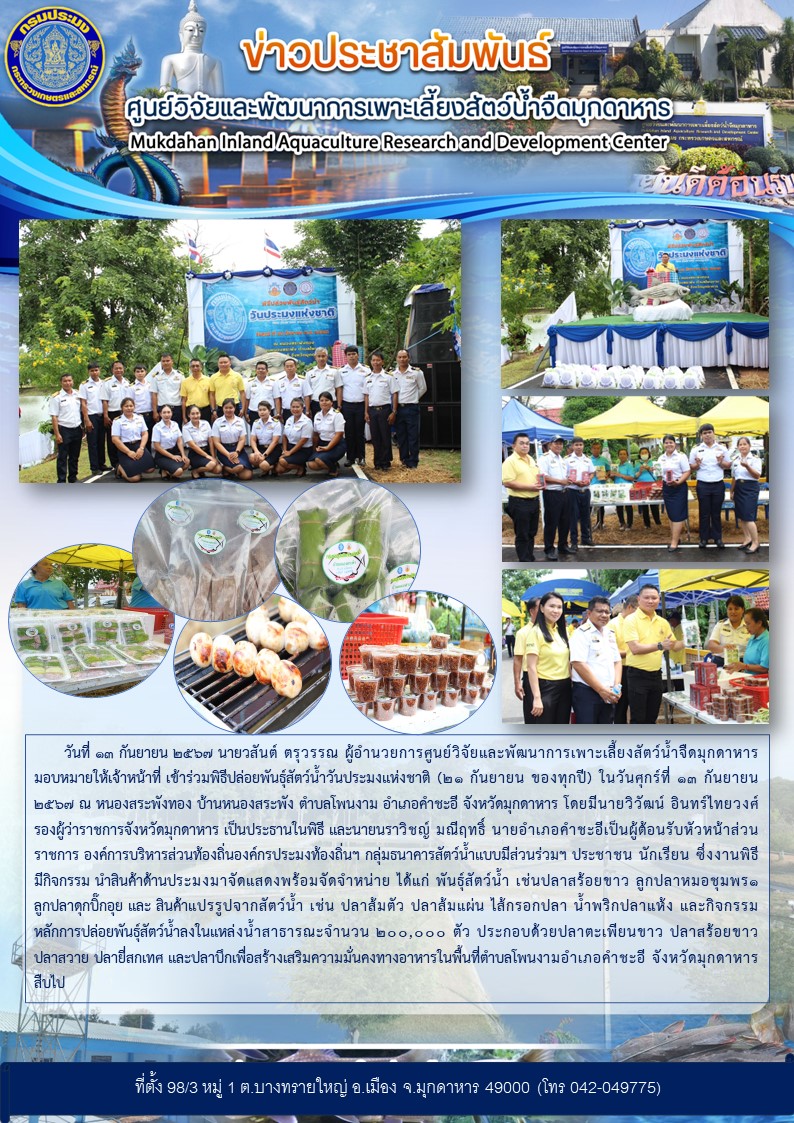พิธีปล่อยพันธุ์สัตว์น้ำวันประมงแห่งชาติ (21 กันยายน ของทุกปี) ในวันศุกร์ที่ 13 กันยายน 2567 ณ หนองสระพังทอง บ้านหนองสระพัง ตำบลโพนงาม อำเภอคำชะอี จังหวัดมุกดาหาร..คลิก