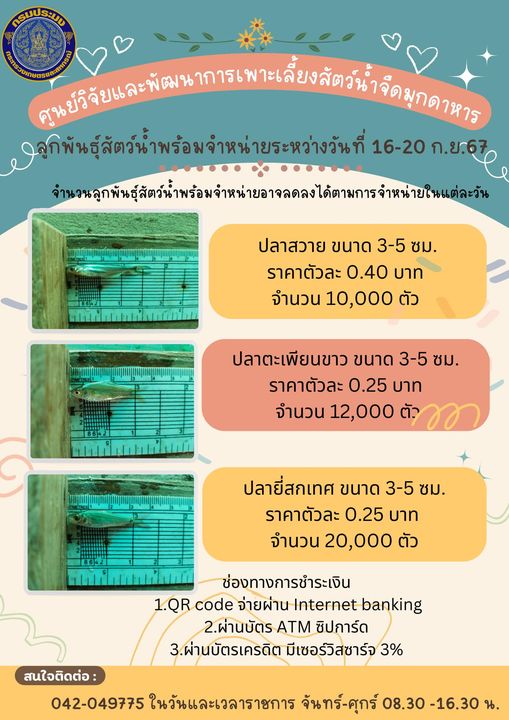 ลูกพันธุ์สัตว์น้ำพร้อมจำหน่าย 16-20 กันยายน 2567..คลิก