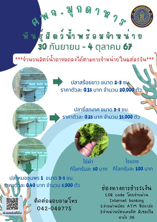 ลูกพันธุ์สัตว์น้ำพร้อมจำหน่าย 30 กันยายน - 4 ตุลาคม  2567..คลิก