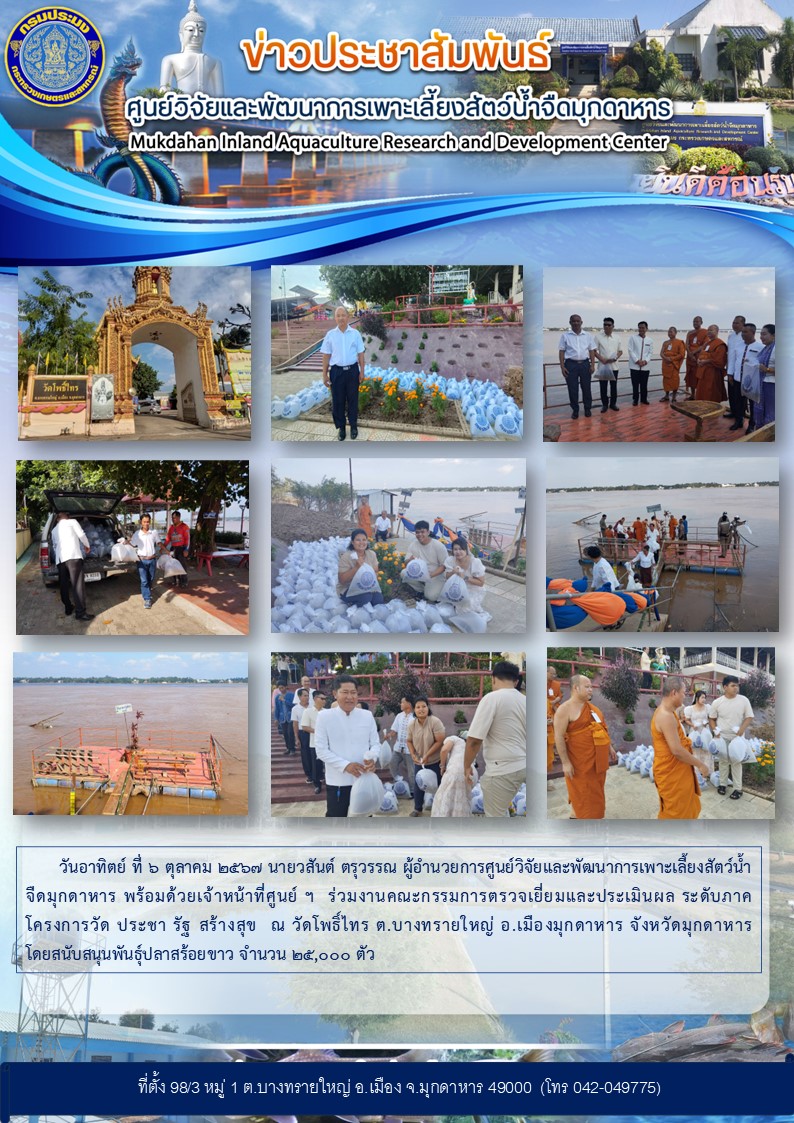 วันอาทิตย์ ที่ 6 ตุลาคม 2567 นายวสันต์ ตรุวรรณ ผู้อำนวยการศูนย์วิจัยและพัฒนาการเพาะเลี้ยงสัตว์น้ำจืดมุกดาหาร พร้อมด้วยเจ้าหน้าที่ศูนย์ ฯ  ร่วมงานคณะกรรมการตรวจเยี่ยมและประเมินผล ระดับภาคโครงการวัด ประชา รัฐ สร้างสุข  ณ วัดโพธิ์ไทร ต.บางทรายใหญ่ อ.เมืองมุกดาหาร จังหวัดมุกดาหาร โดยสนับสนุนพันธุ์ปลาสร้อยขาว จำนวน 25,000 ตัว..คลิก