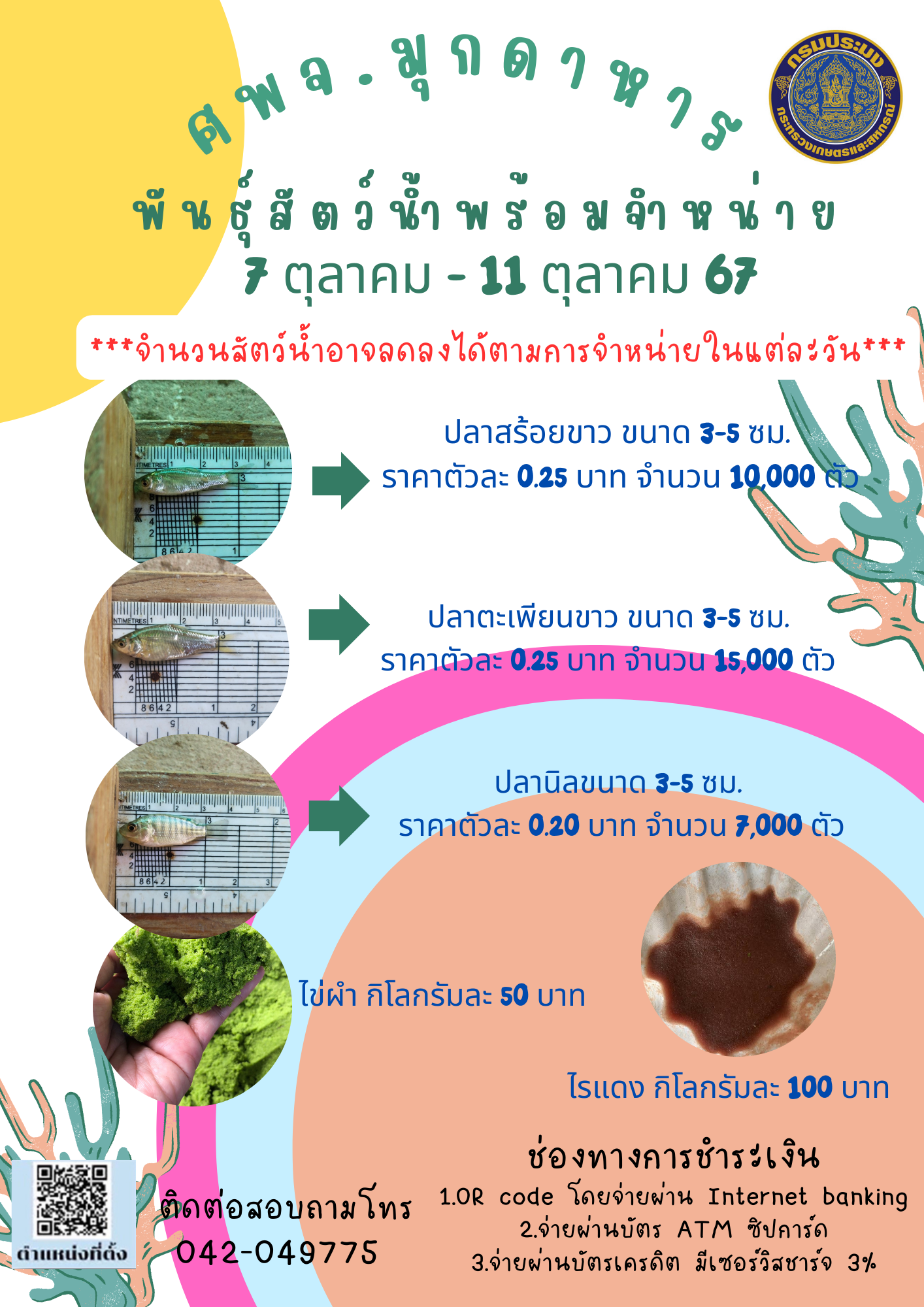 ลูกพันธุ์สัตว์น้ำพร้อมจำหน่าย 7-11 ตุลาคม 2567..คลิก