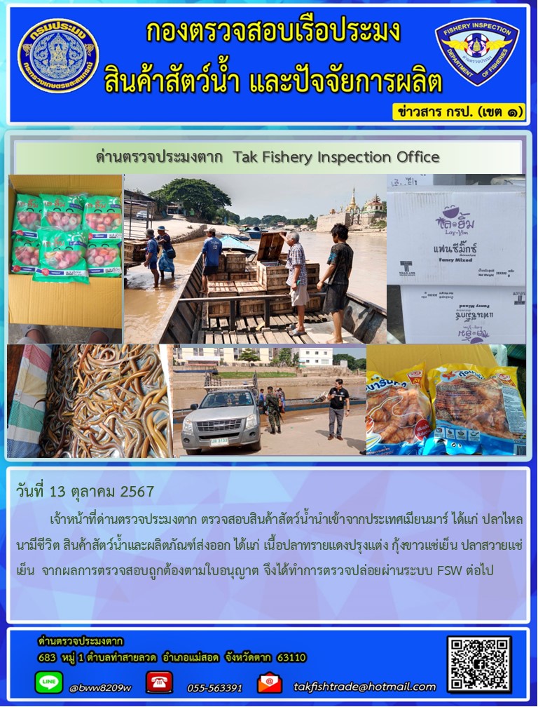 วันที่ 13 ตุลาคม 2567           เจ้าหน้าที่ด่านตรวจประมงตาก ตรวจสอบสินค้าสัตว์น้ำนำเข้าจากประเทศเมียนมาร์ ได้แก่ ปลาไหลนามีชีวิต สินค้าสัตว์น้ำและผลิตภัณฑ์ส่งออก ได้แก่ เนื้อปลาทรายแดงปรุงแต่ง กุ้งขาวแช่เย็น ปลาสวายแช่เย็น  จากผลการตรวจสอบถูกต้องตามใบอนุญาต จึงได้ทำการตรวจปล่อยผ่านระบบ FSW ต่อไป..คลิก