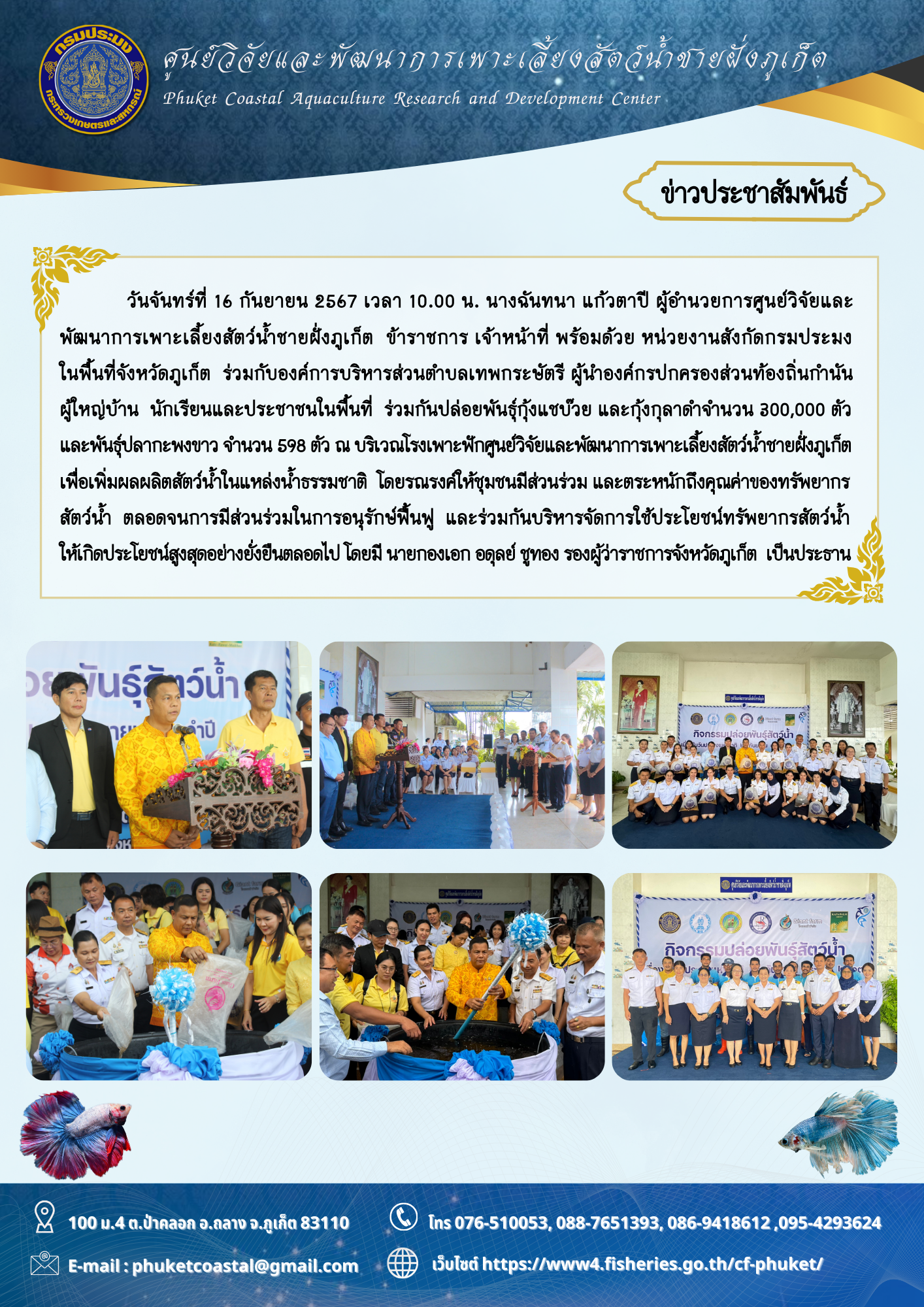 วันที่ 16 กันยายน 2567 ศูนย์วิจัยและพัฒนาการเพาะเลี้ยงสัตว์น้ำชายฝั่งภูเก็ต ร่วมกิจกรรมปล่อยพันธุ์สัตว์น้ำเนื่องในวันประมงแห่งชาติ ประจำปี 2567..คลิก