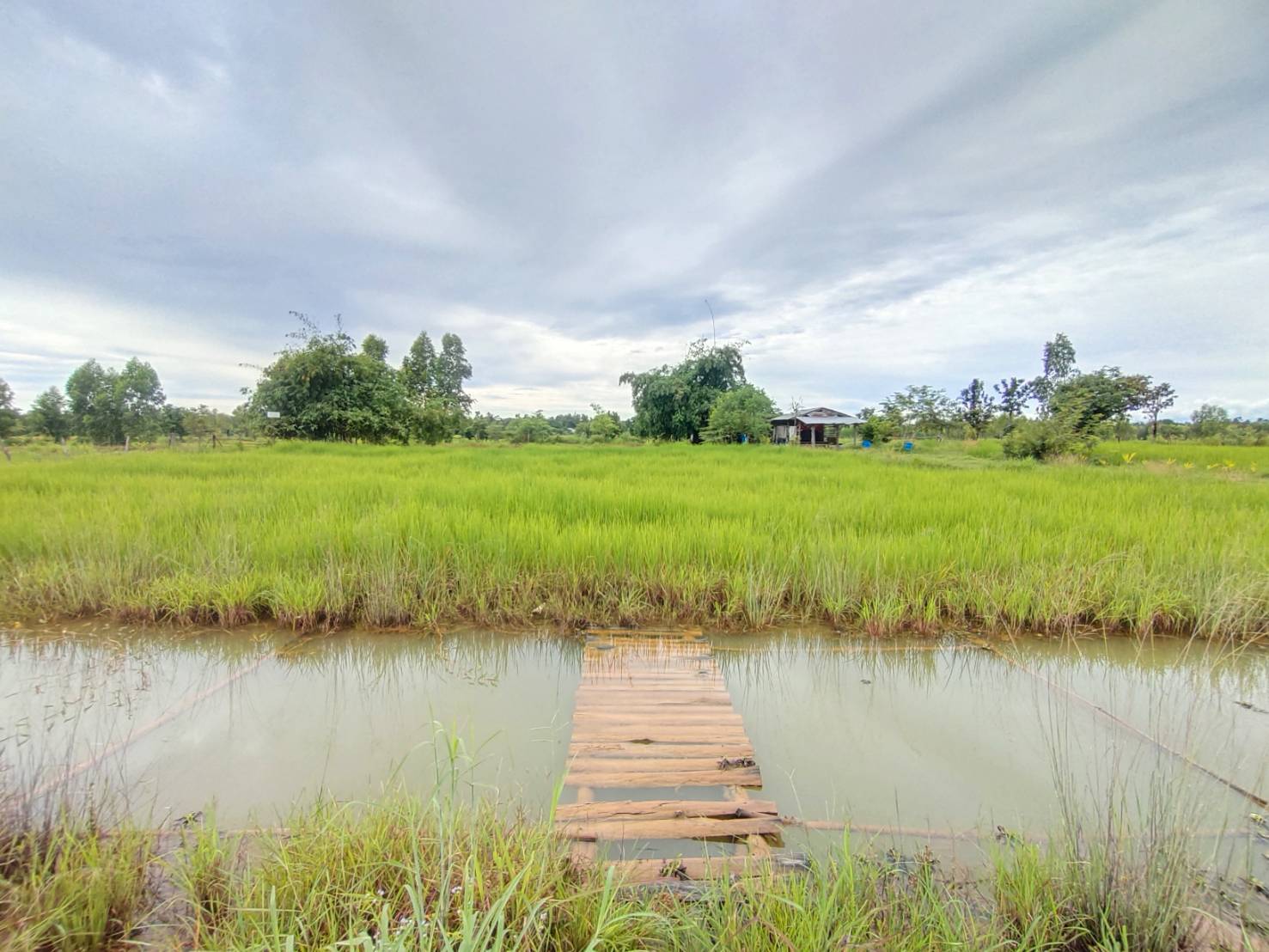 ประมงอำเภอศรีเมืองใหม่ ลงพื้นที่บริการตรวจสอบพื้นที่เพื่อขึ้นทะเบียนเกษตรกรผู้เพาะเลี้ยงสัตว์น้ำ ทบ.1..คลิก