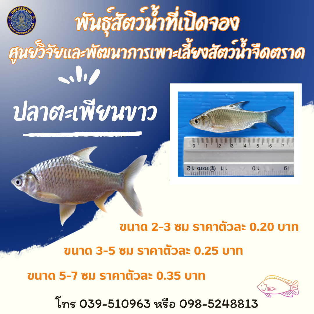 พันธุ์สัตว์น้ำที่เปิดจอง ประจำเดือน ตุลาคม 2567..คลิก