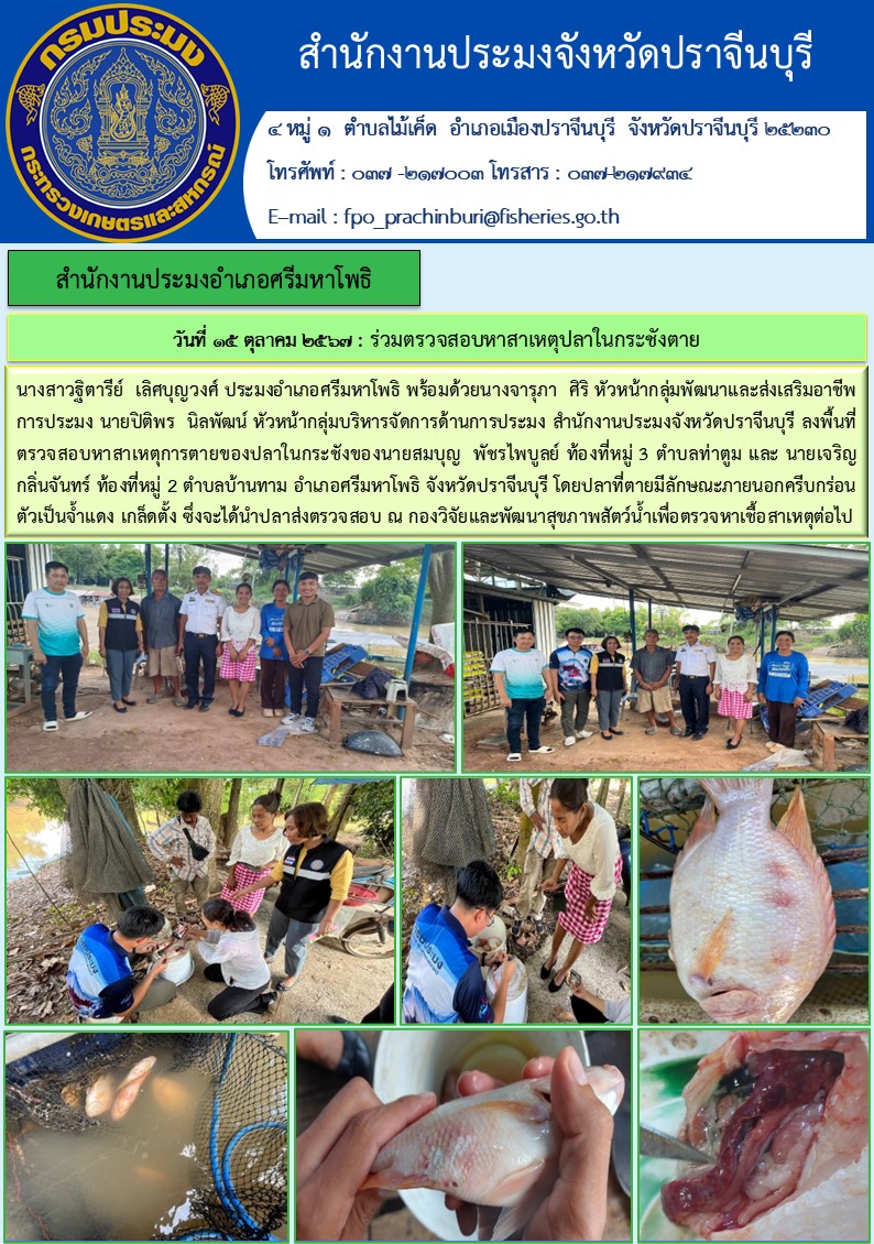 ข่าวประชาสัมพันธ์ สำนักงานประมงอำเภอศรีมหาโพธิ ลงพื้นที่ ตรวจสอบหาสาเหตุการตายของปลาในกระชังของนายสมบุญ พัชรไพบูลย์ ท้องที่หมู่ 3 ตำบลท่าตูม..คลิก