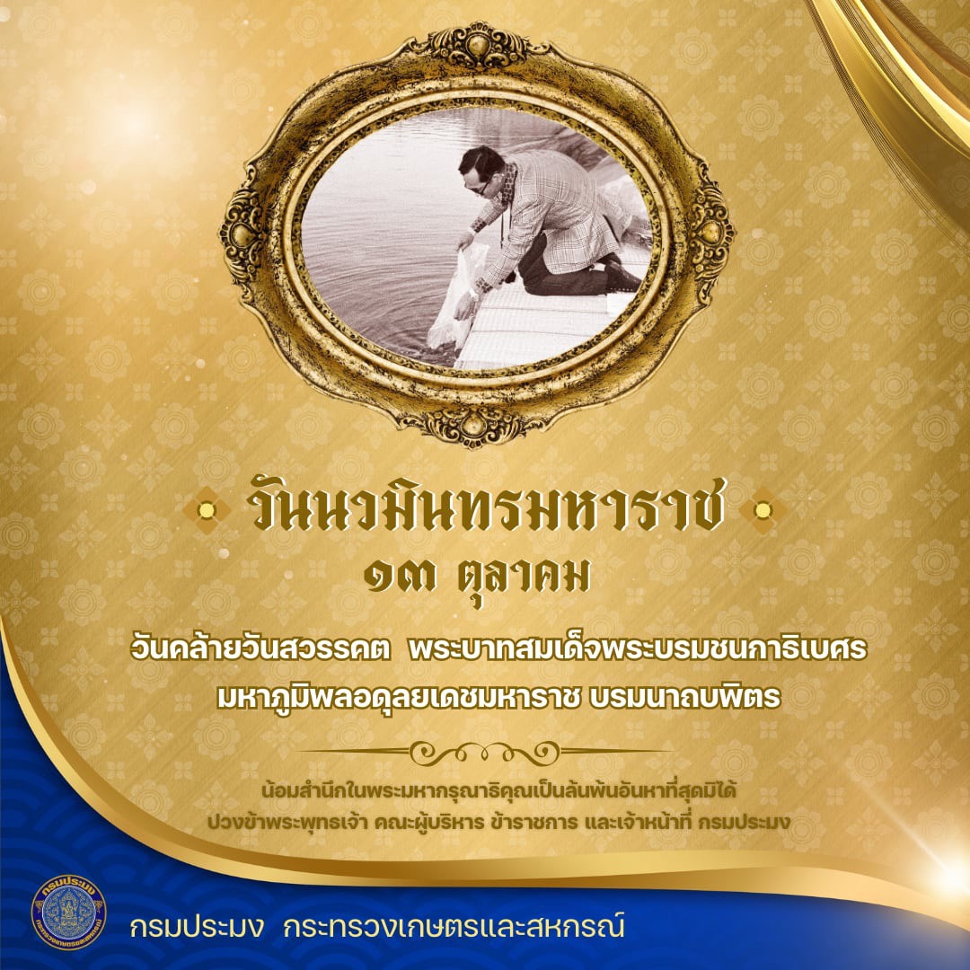 วันที่ 13 ตุลาคม “วันนวมินทรมหาราช”