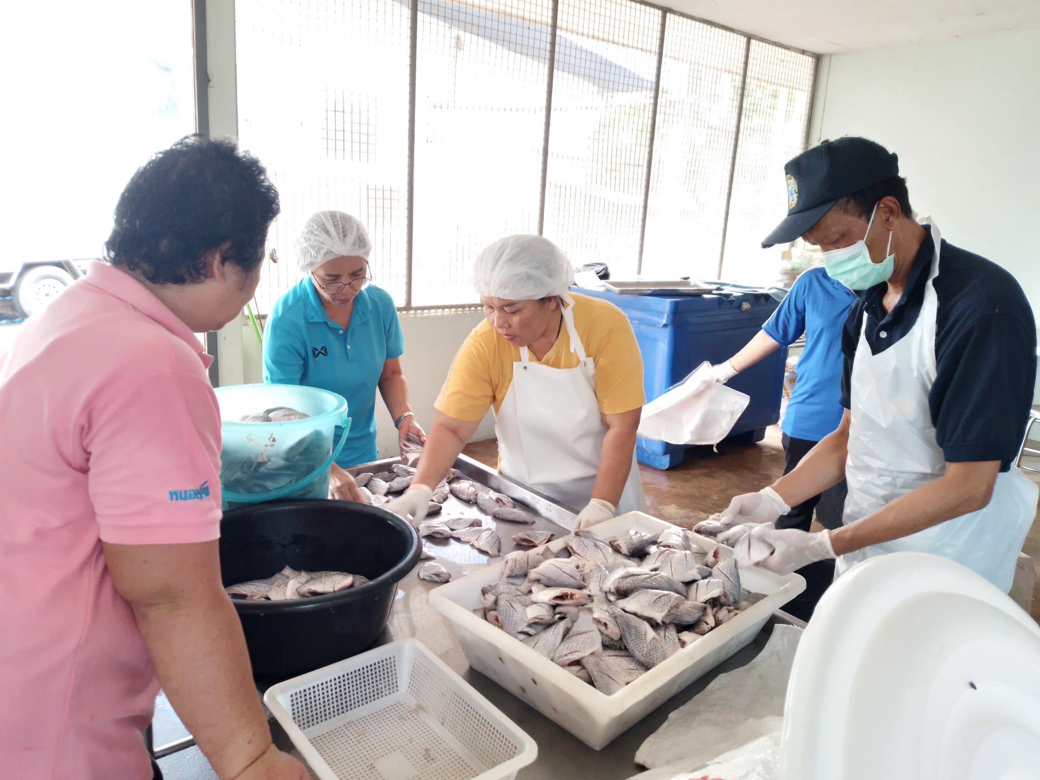 ร่วมฝึกอบรมการหมักปลาร้าจากปลาหมอคางดำ โครงการสร้างแรงจูงใจในการนำปลาหมอคางดำที่กำจัดออกไปใช้ประโยชน์โดยการหมักปลาร้า ขององค์กรชุมชนประมงท้องถิ่นวิสาหกิจชุมชนกลุ่มปลาย่างปรุงรส ปลาดาด้า