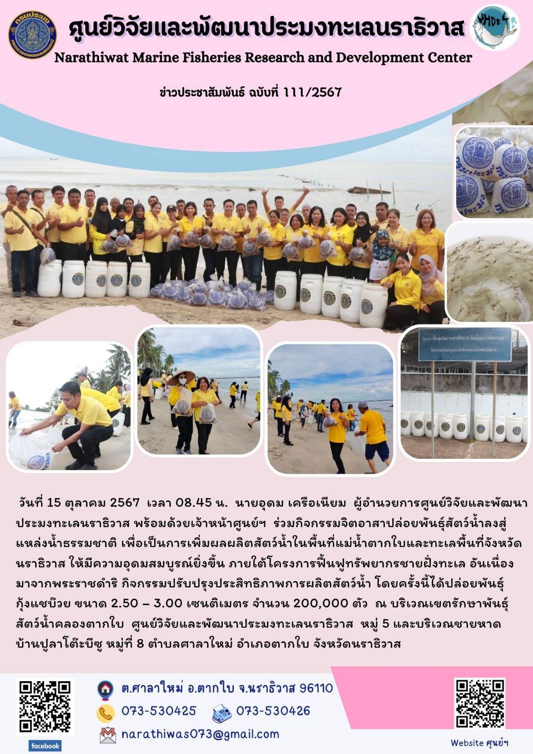 วันที่ 15 ตุลาคม 2567 เวลา 08.45 น. นายอุดม เครือเนียม ผู้อำนวยการศูนย์วิจัยและพัฒนาประมงทะเลนราธิวาส พร้อมด้วยเจ้าหน้าศูนย์ฯ ร่วมกิจกรรมจิตอาสาปล่อยพันธุ์สัตว์น้ำลงสู่แหล่งน้ำธรรมชาติ เพื่อเป็นการเพิ่มผลผลิตสัตว์น้ำในพื้นที่แม่น้ำตากใบและทะเลพื้นที่จังหวัดนราธิวาส ให้มีความอุดมสมบูรณ์ยิ่งขึ้น ภายใต้โครงการฟื้นฟูทรัพยากรชายฝั่งทะเล อันเนื่องมาจากพระราชดำริ กิจกรรมปรับปรุงประสิทธิภาพการผลิตสัตว์น้ำ ฯลฯ..คลิก