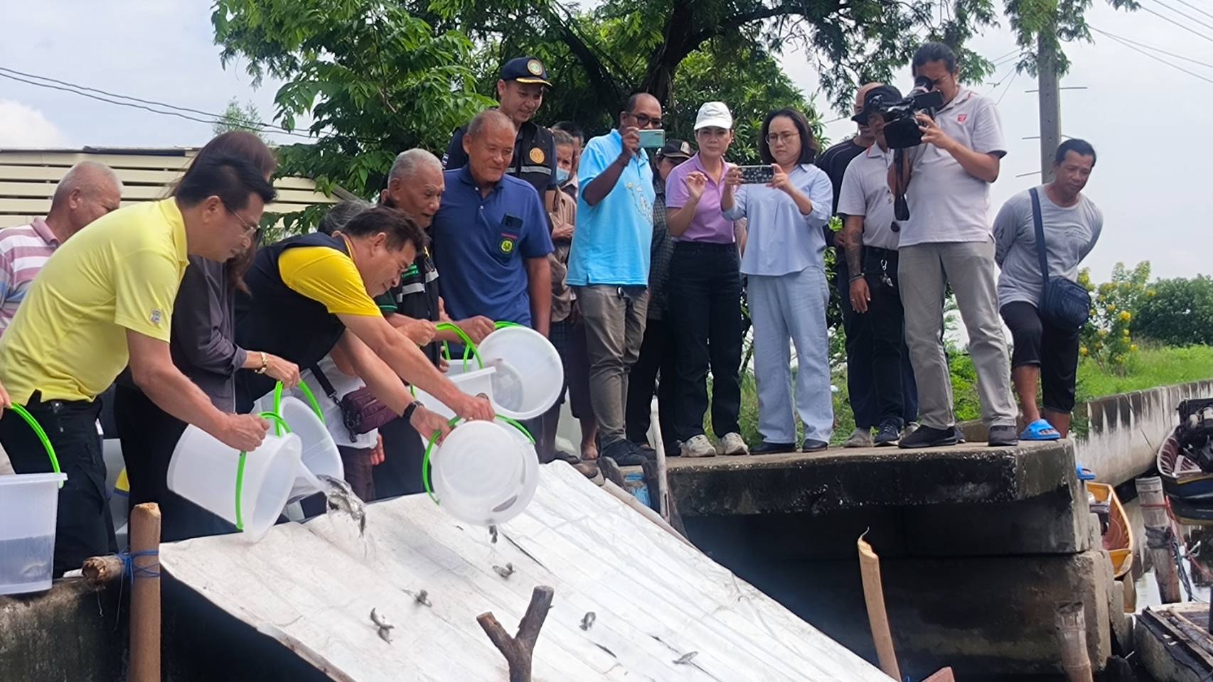 สำนักงานประมงพื้นที่กรุงเทพมหานคร จัดกิจกรรมปล่อยปลาผู้ล่าเพื่อกำจัดลูกปลาหมอคางดำในแหล่งน้ำธรรรมชาติ