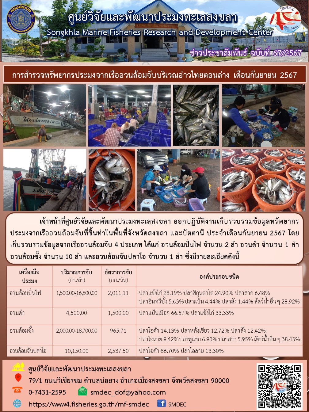 เจ้าหน้าที่ศูนย์วิจัยและพัฒนาประมงทะเลสงขลา ออกปฏิบัติงานเก็บรวบรวมข้อมูลทรัพยากรประมงจากเรืออวนล้อมจับที่ขึ้นท่าในพื้นที่จังหวัดสงขลา และปัตตานี ประจำเดือนกันยายน 2567..คลิก
