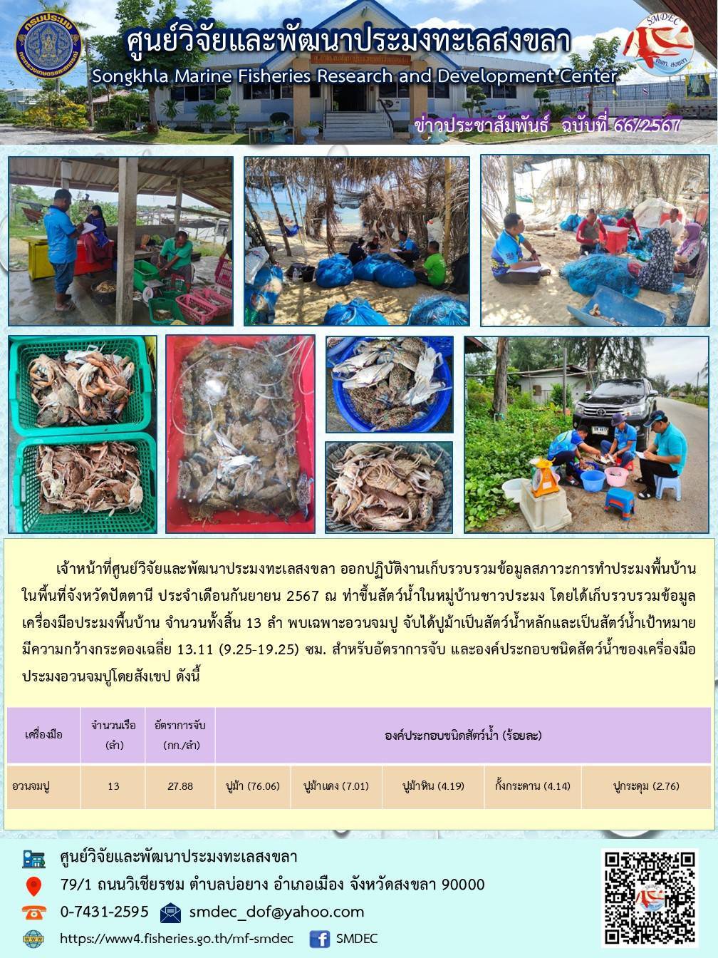 เจ้าหน้าที่ศูนย์วิจัยและพัฒนาประมงทะเลสงขลา ออกปฏิบัติงานเก็บรวบรวมข้อมูลสภาวะการทำประมงพื้นบ้านในพื้นที่จังหวัดปัตตานี ประจำเดือนกันยายน 2567 ณ ท่าขึ้นสัตว์น้ำในหมู่บ้านชาวประมง โดยได้เก็บรวบรวมข้อมูลเครื่องมือประมงพื้นบ้าน จำนวนทั้งสิ้น 13 ลำ พบเฉพาะอวนจมปู จับได้ปูม้าเป็นสัตว์น้ำหลักและเป็นสัตว์น้ำเป้าหมาย มีความกว้างกระดองเฉลี่ย 13.11 (9.25-19.25) ซม. สำหรับอัตราการจับ และองค์ประกอบชนิดสัตว์น้ำของเครื่องมือประมงอวนจมปูโดยสังเขป ดังนี้ ฯลฯ..คลิก