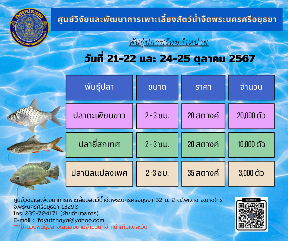 ชนิดพันธ์ุสัตว์น้ำพร้อมจำหน่าย  21 - 22 และ 24-25 ตุลาคม 2567 ศพจ.พระนครศรีอยุธยา..คลิก
