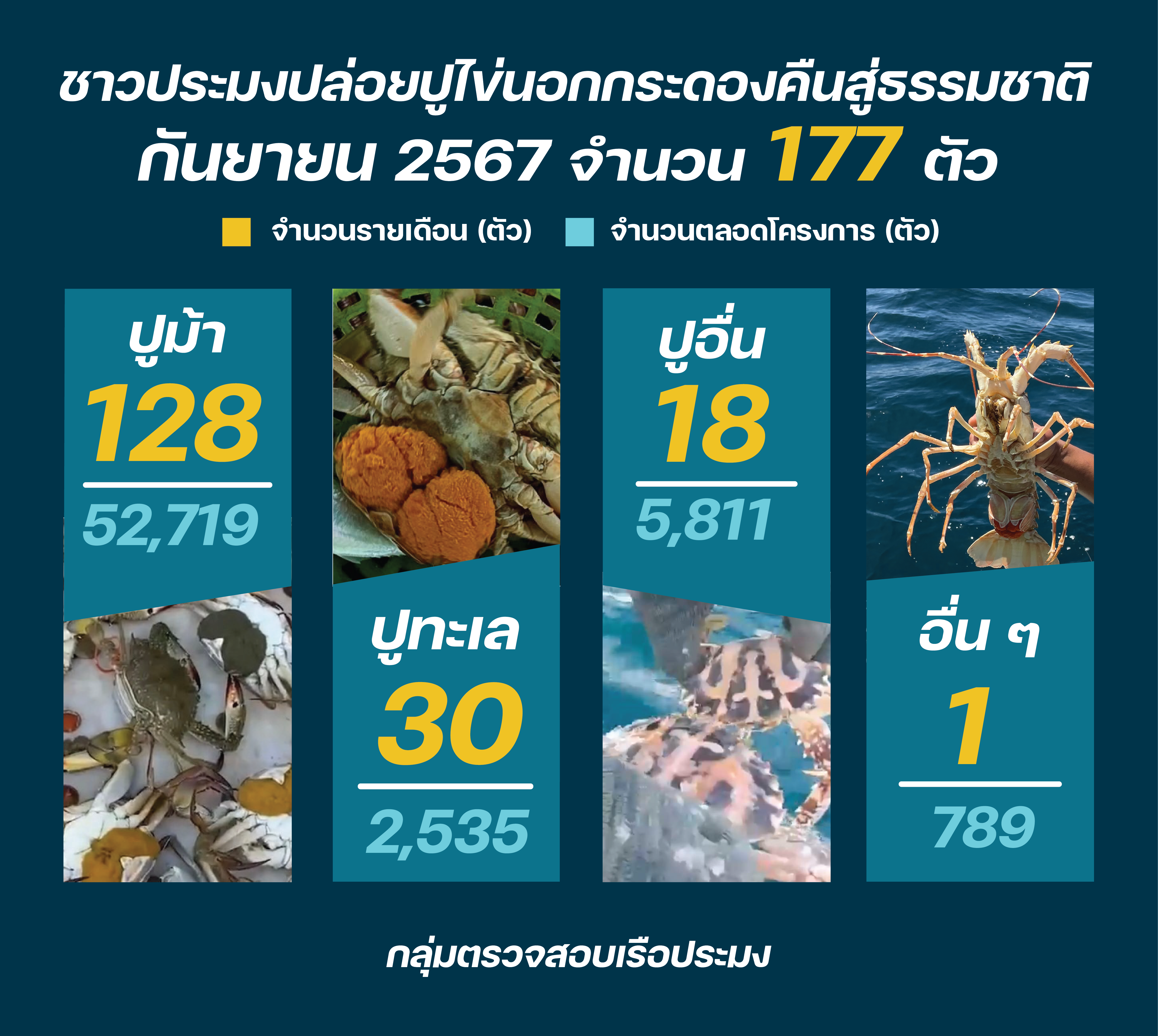 ชาวประมงปล่อยปูไข่ กันยายน 2567..คลิก