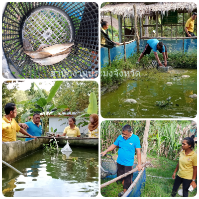 ผลการปฏิบัติงานประจำวันจันทร์ที่ 21 ตุลาคม 2567