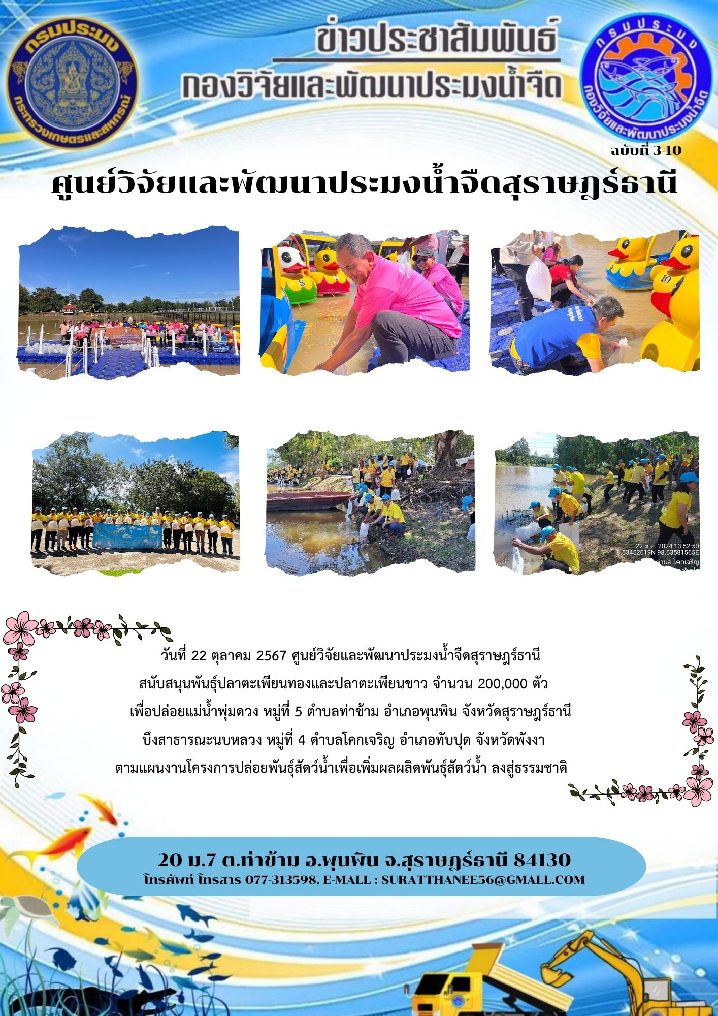 วันที่ 22 ตุลาคม 2567 ศูนย์วิจัยและพัฒนาประมงน้ำจืดสุราษฎร์ธานี สนับสนุนพันธุ์ปลาตะเพียนทองและปลาตะเพียนขาว จำนวน 200,000 ตัว