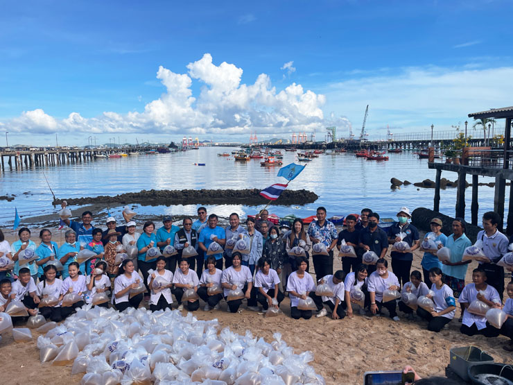 ศพช.ฉะเชิงเทรา สนับสนุนพันธุ์กุ้งแชบ๊วยและเข้าร่วมกิจกรรมปล่อยพันธุ์สัตว์น้ำ ณ บริเวณชายหาด ชมรมประมงพื้นบ้านอ่าวอุดม ตำบลทุ่งสุขลา อำเภอศรีราชา จังหวัดชลบุรี