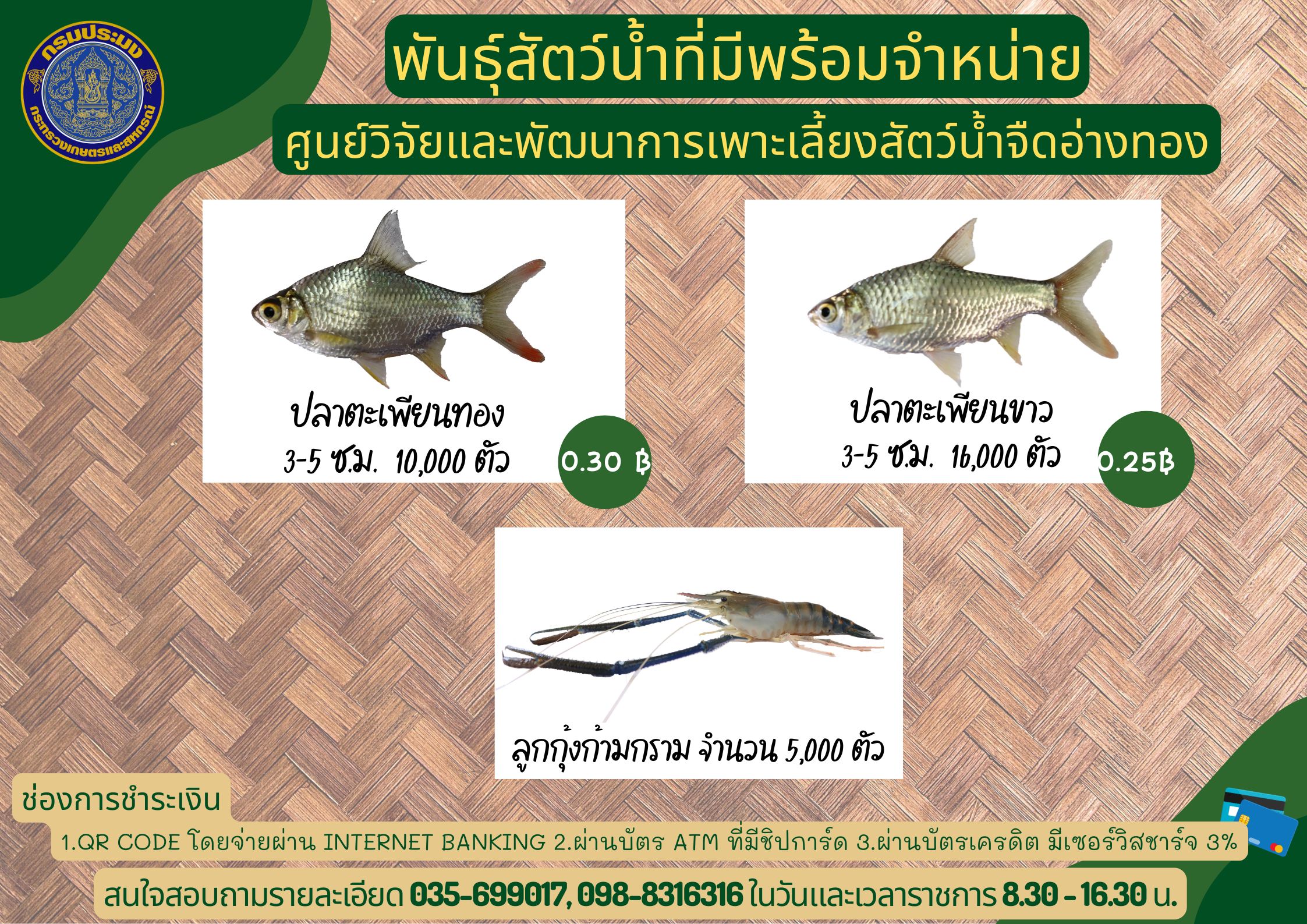 พันธุ์สัตว์น้ำที่มีพร้อมจำหน่าย..คลิก