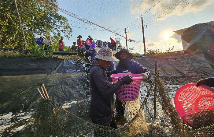 การประชุม “กลุ่มเกษตรกรเลี้ยงสัตว์น้ำรอบอ่าวคุ้งกระเบนกลุ่มคลองน้ำเค็ม” ณ ศูนย์ศึกษาการพัฒนาอ่าวคุ้งกระเบนฯ..คลิก