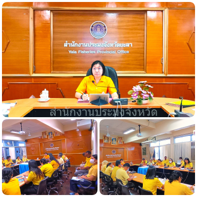 ผลการปฏิบัติงานประจำวันจันทร์ที่ 28 ตุลาคม 2567..คลิก