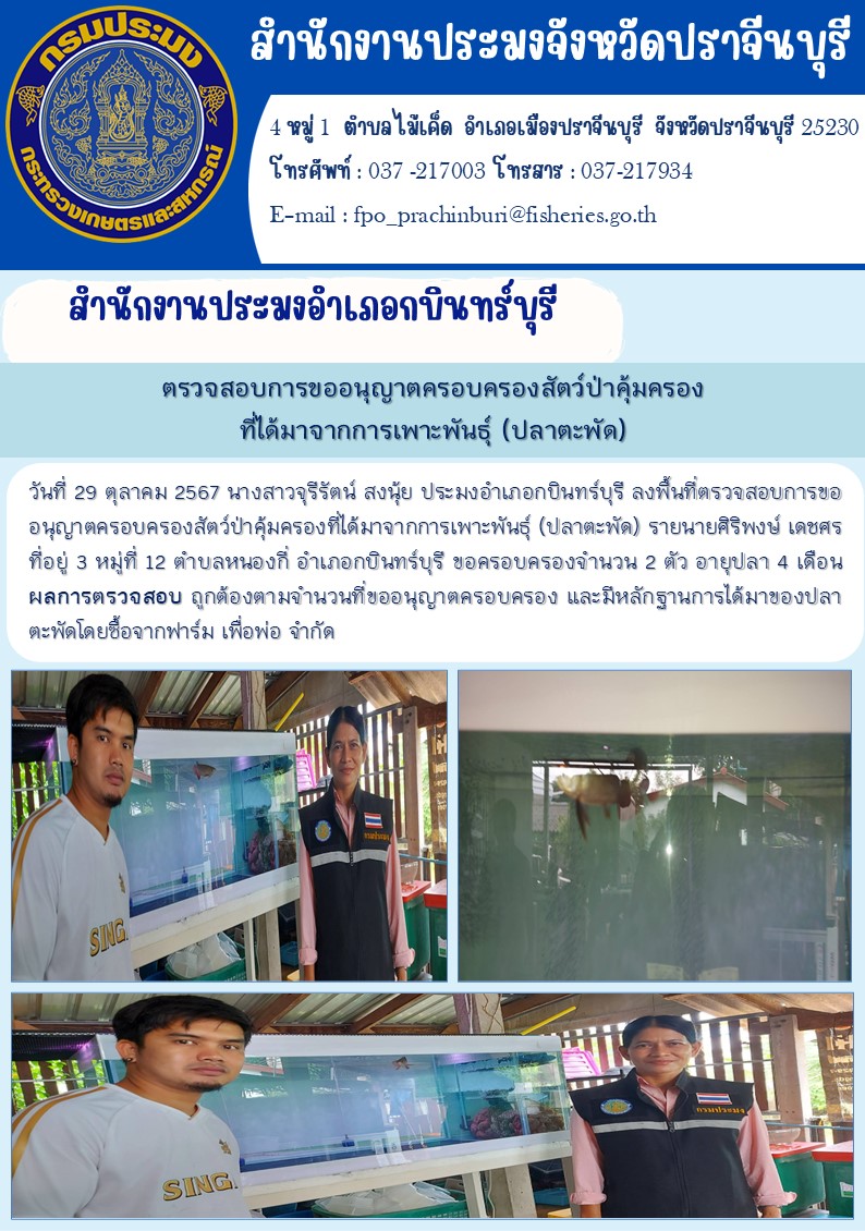 ข่าวประชาสัมพันธ์ สำนักงานประมงอำเภอกบินทร์บุรี ตรวจสอบการขออนุญาตครอบครองสัตว์ป่าคุ้มครอง ที่ได้มาจากการเพาะพันธุ์ (ปลาตะพัด)..คลิก