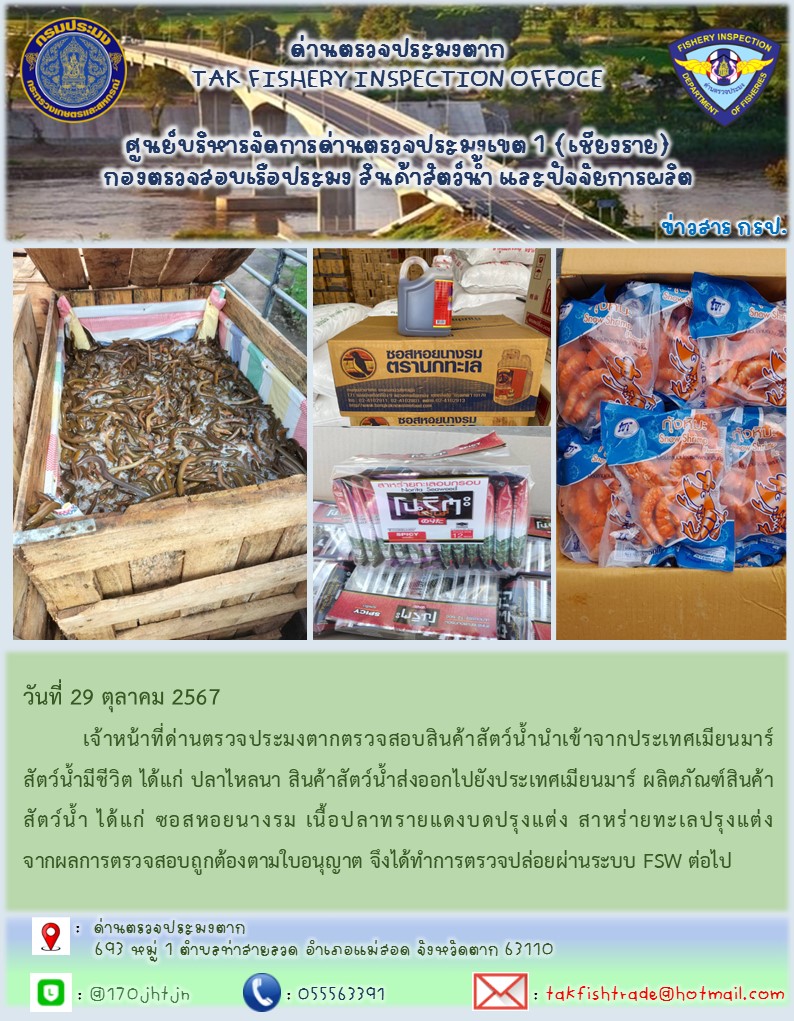 วันที่ 29 ตุลาคม 2567           เจ้าหน้าที่ด่านตรวจประมงตากตรวจสอบสินค้าสัตว์น้ำนำเข้าจากประเทศเมียนมาร์ สัตว์น้ำมีชีวิต ได้แก่ ปลาไหลนา สินค้าสัตว์น้ำส่งออกไปยังประเทศเมียนมาร์ ผลิตภัณฑ์สินค้าสัตว์น้ำ ได้แก่ ซอสหอยนางรม เนื้อปลาทรายแดงบดปรุงแต่ง สาหร่ายทะเลปรุงแต่ง จากผลการตรวจสอบถูกต้องตามใบอนุญาต จึงได้ทำการตรวจปล่อยผ่านระบบ FSW ต่อไป..คลิก