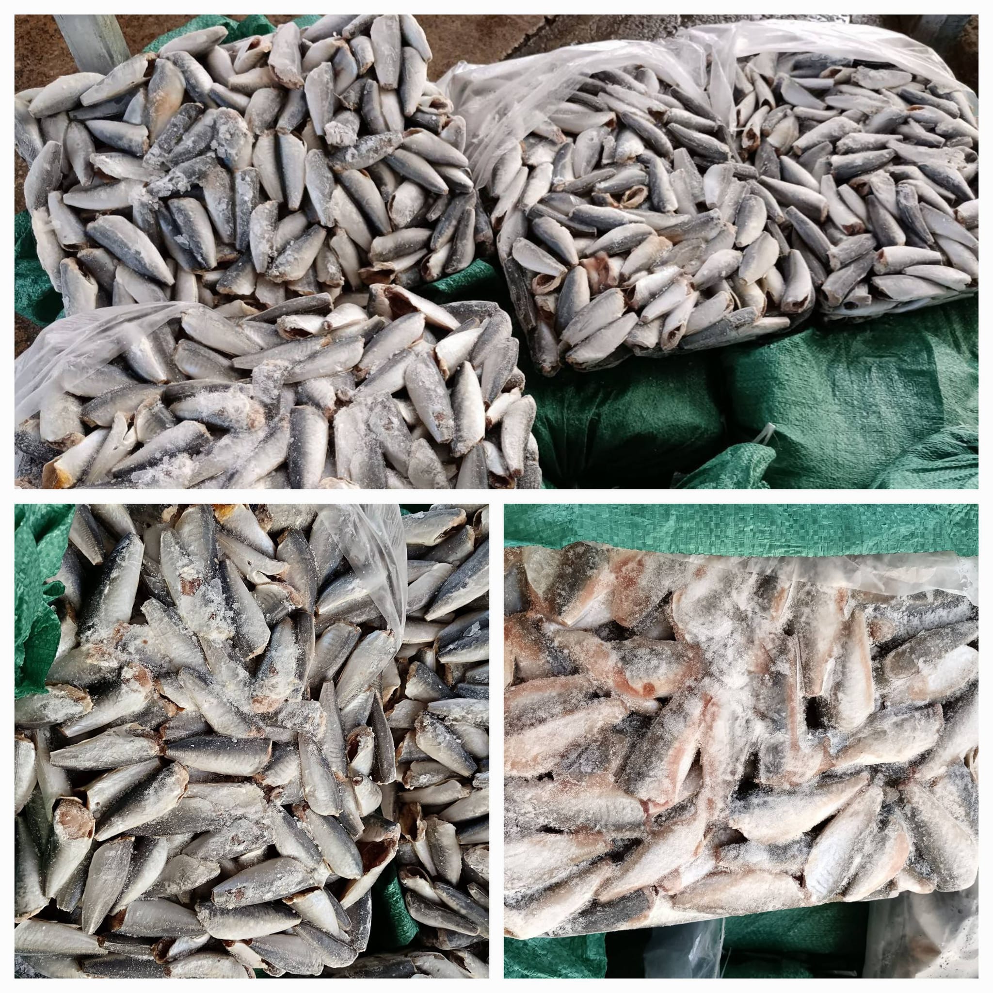 ตรวจสอบการขนถ่ายสินค้าสัตว์น้ำแช่แข็งจากตู้คอนเทนเนอร์ ณ สถานประกอบการปลายทาง ประจำเดือนกันยายน 2567..คลิก